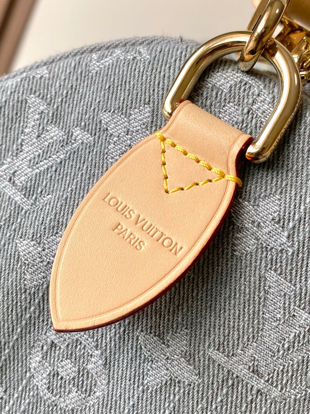 LOUIS VUITTON- LV bag