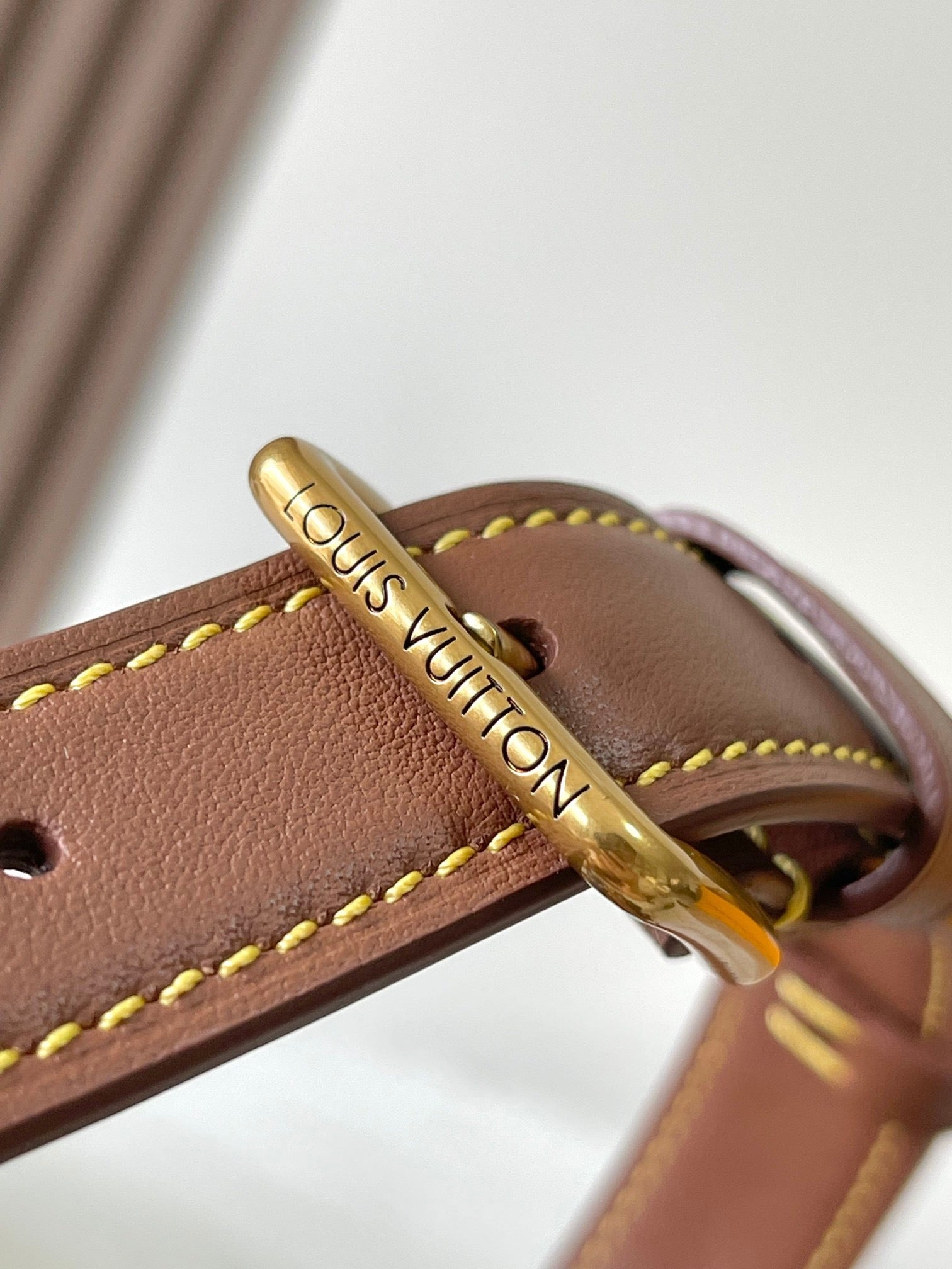 LOUIS VUITTON- LV bag