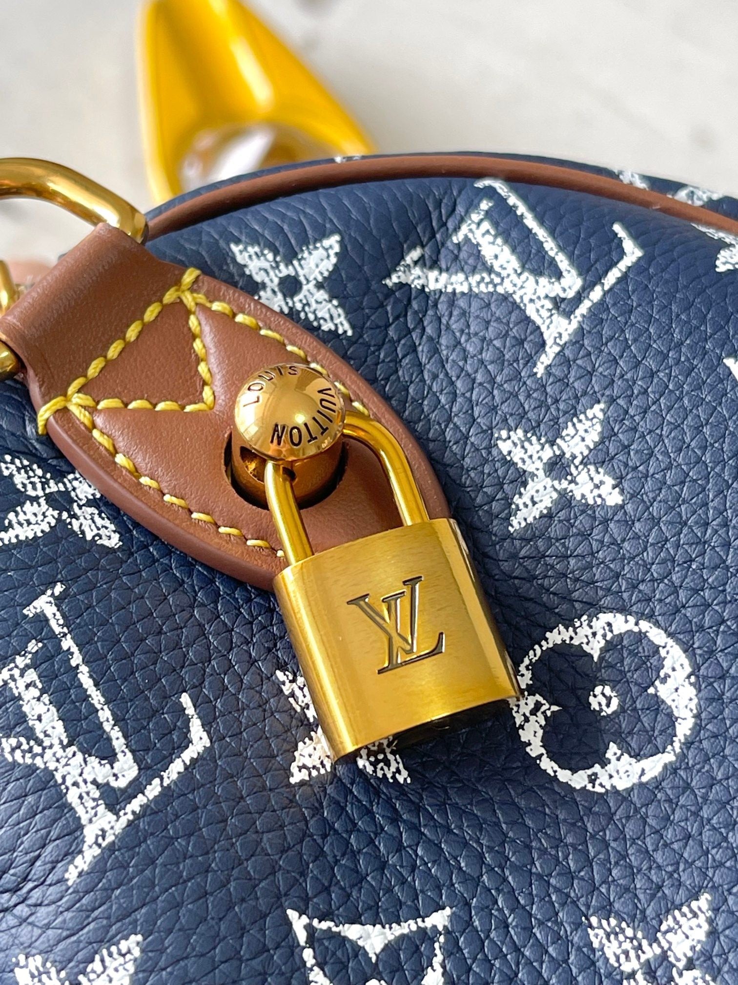 LOUIS VUITTON- LV bag