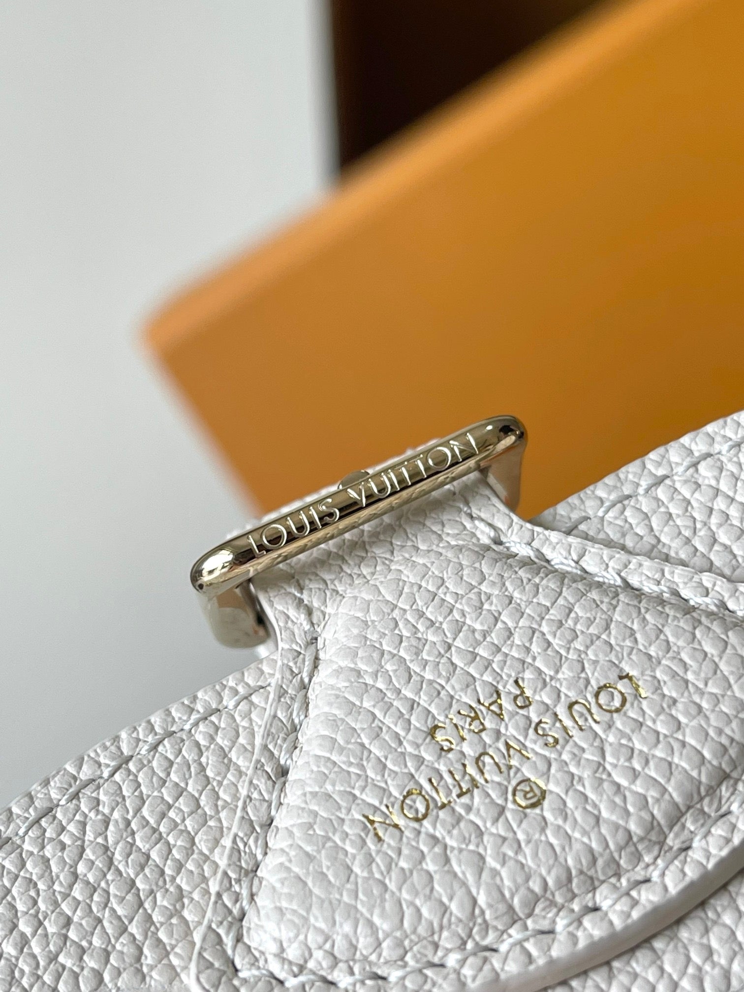 LOUIS VUITTON- LV bag