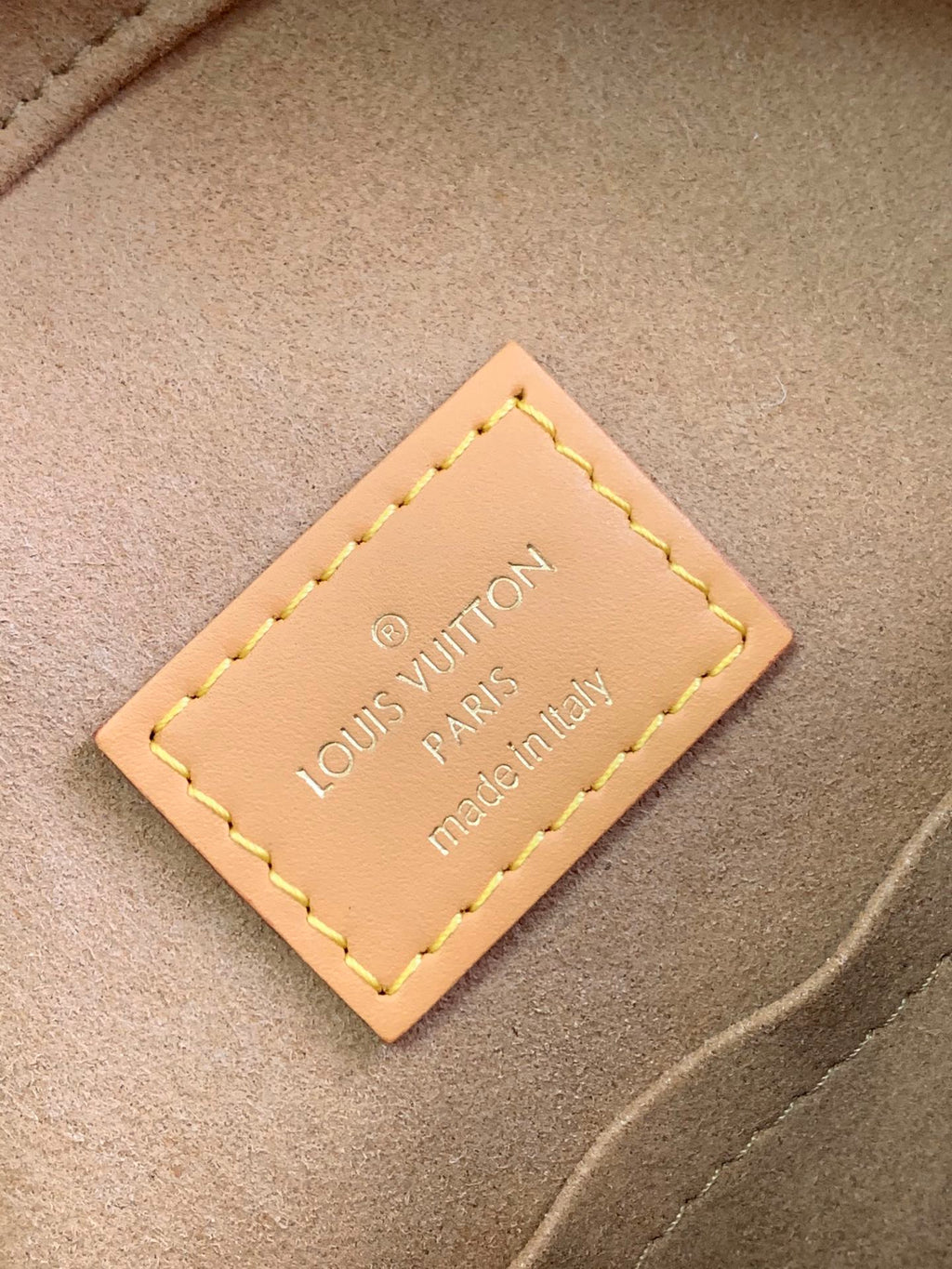 LOUIS VUITTON- LV bag