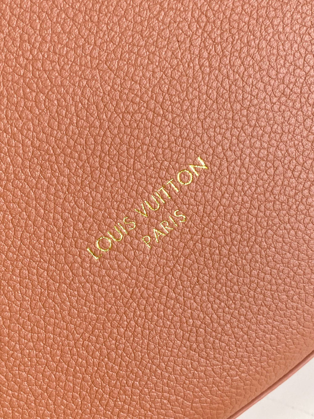 LOUIS VUITTON- LV bag