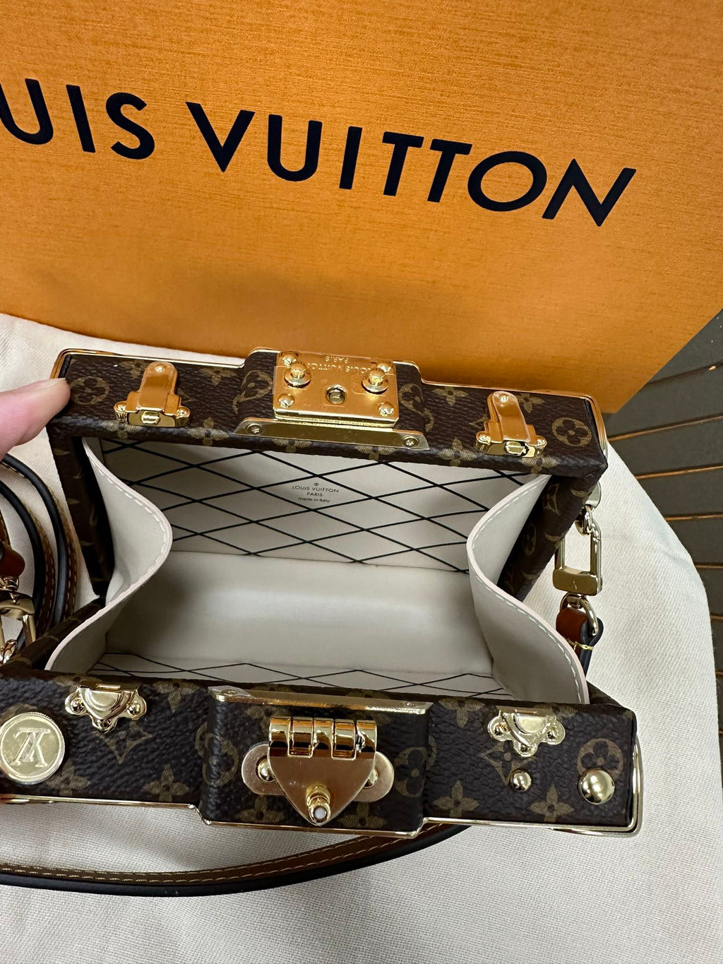 LOUIS VUITTON- LV bag
