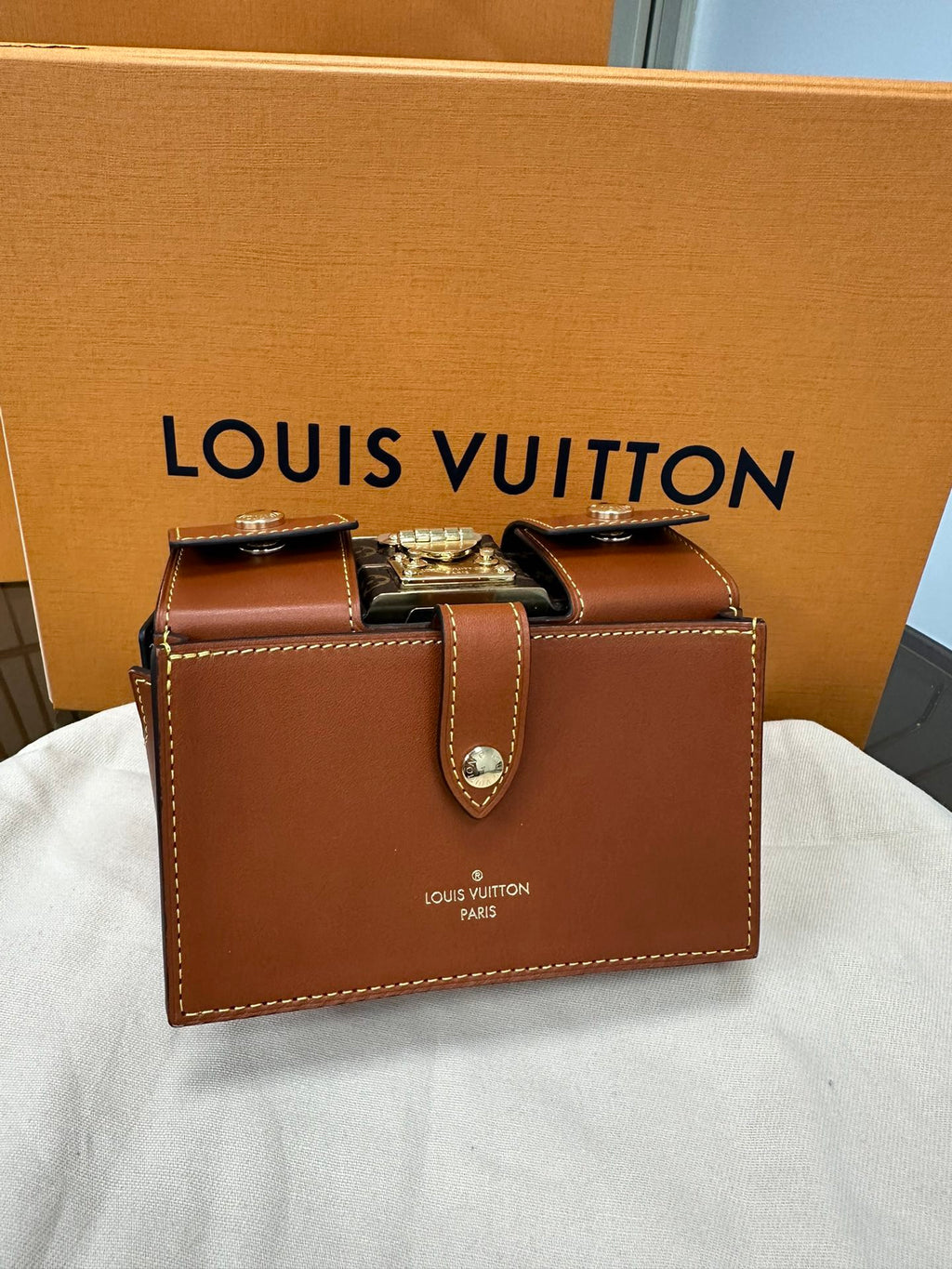 LOUIS VUITTON- LV bag