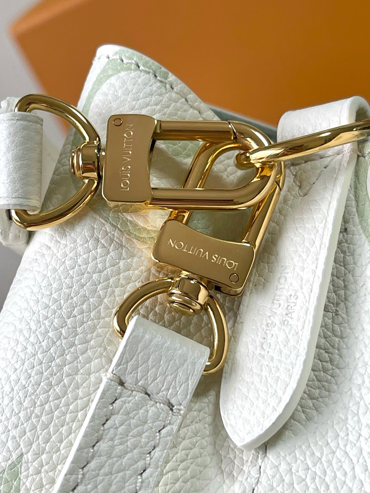 LOUIS VUITTON- LV bag