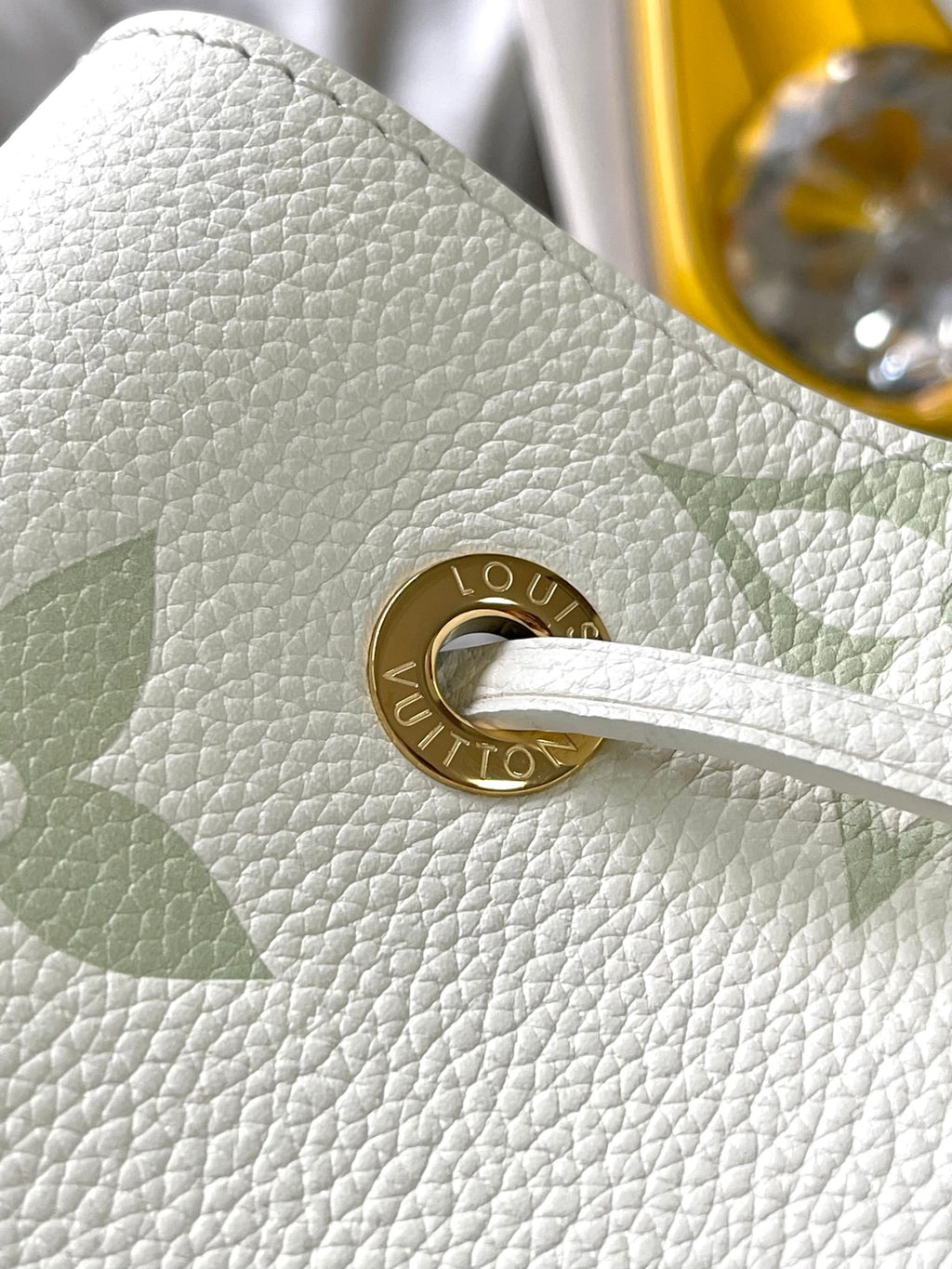 LOUIS VUITTON- LV bag