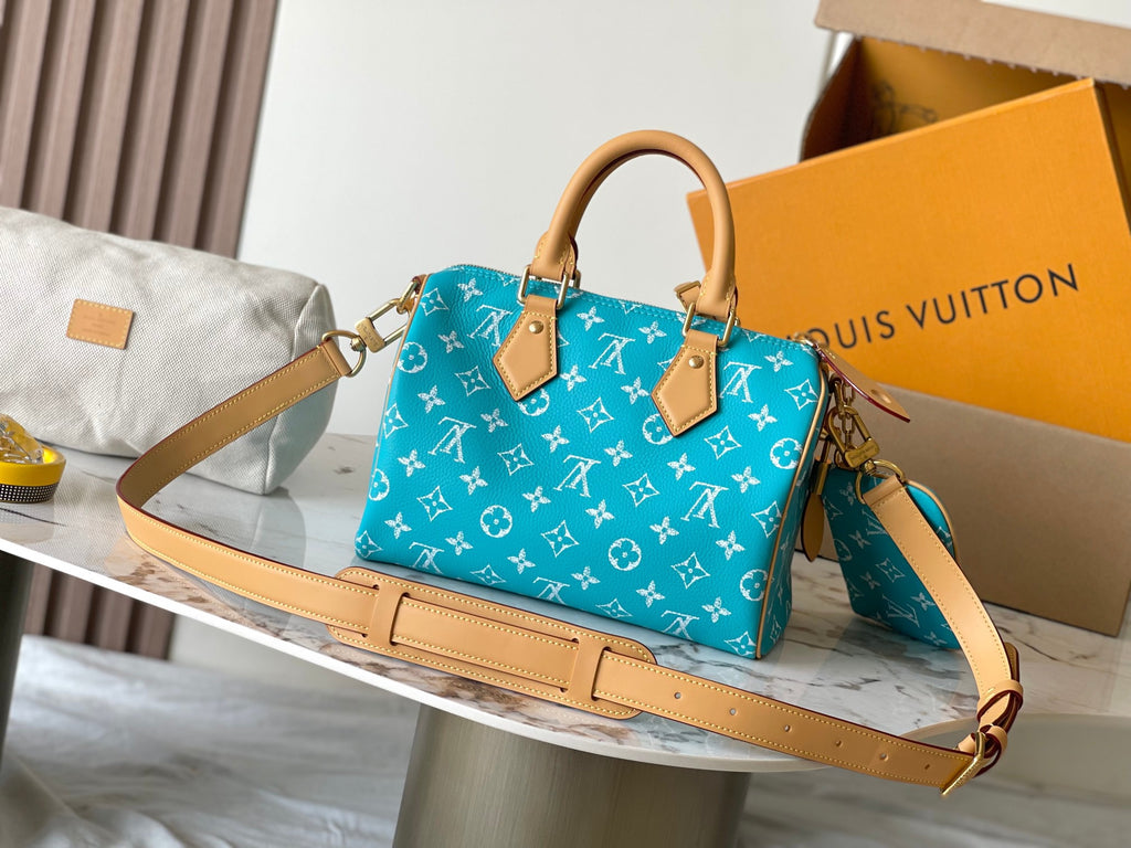 LOUIS VUITTON- LV bag