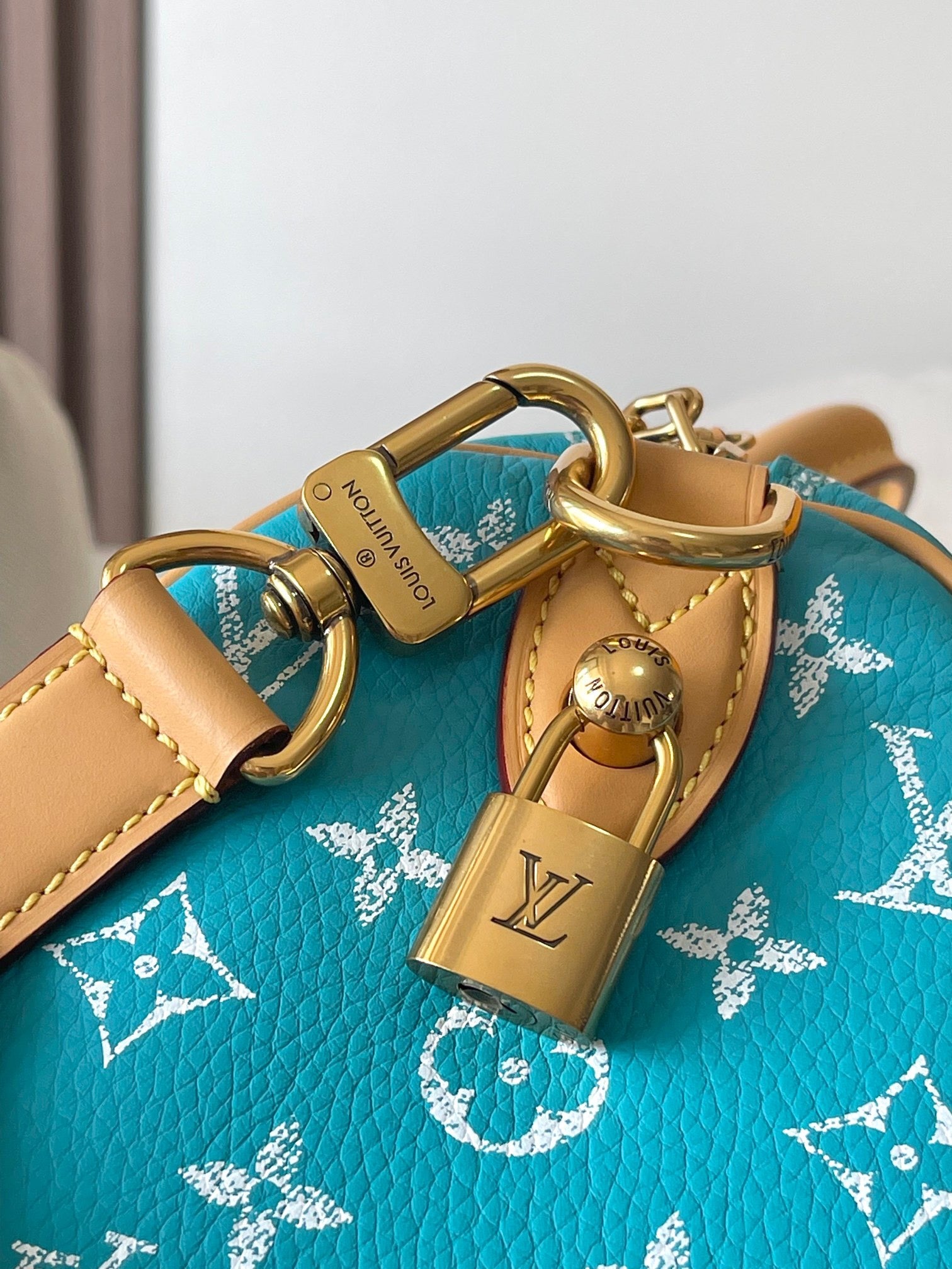 LOUIS VUITTON- LV bag