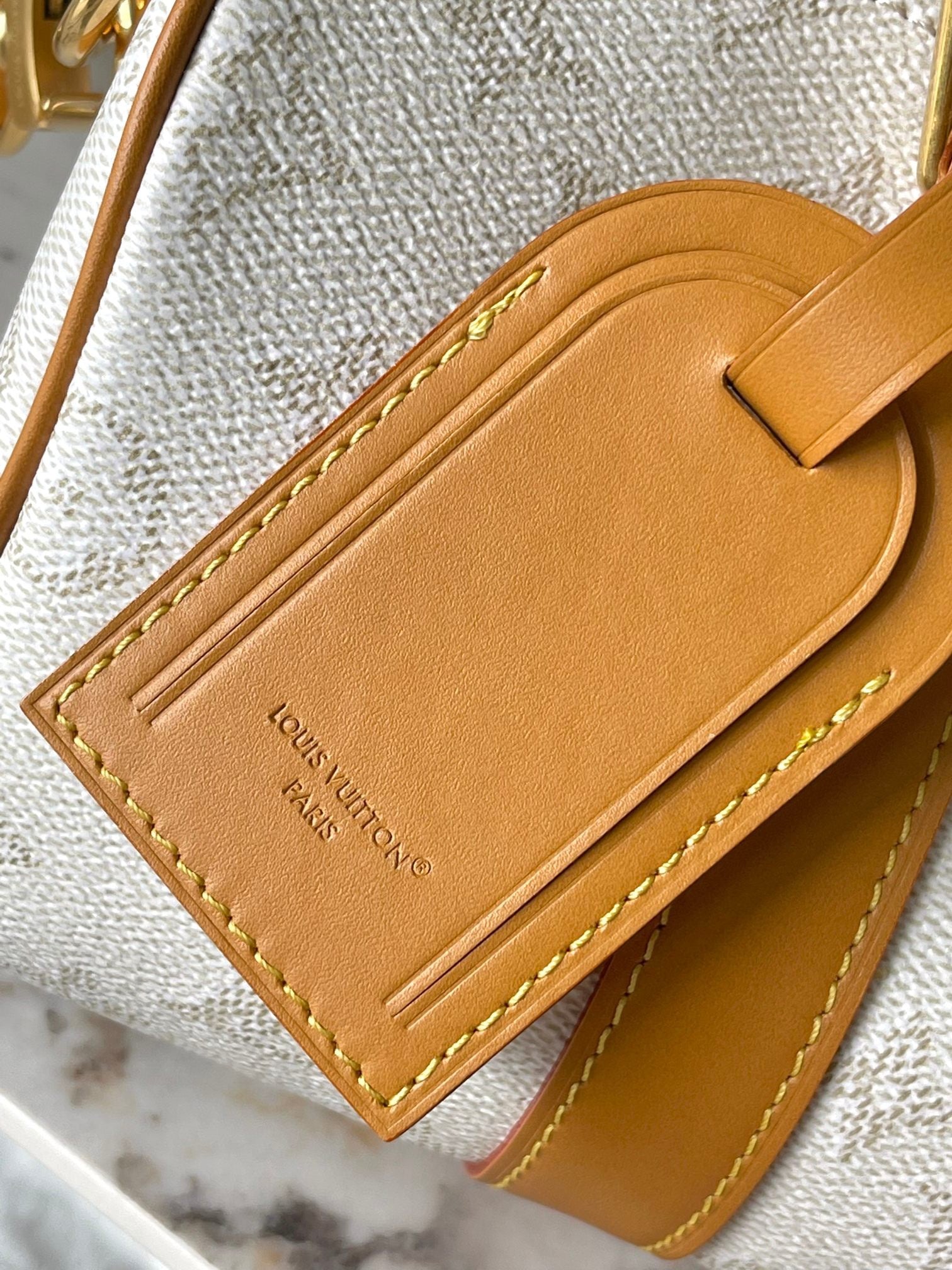 LOUIS VUITTON- LV bag