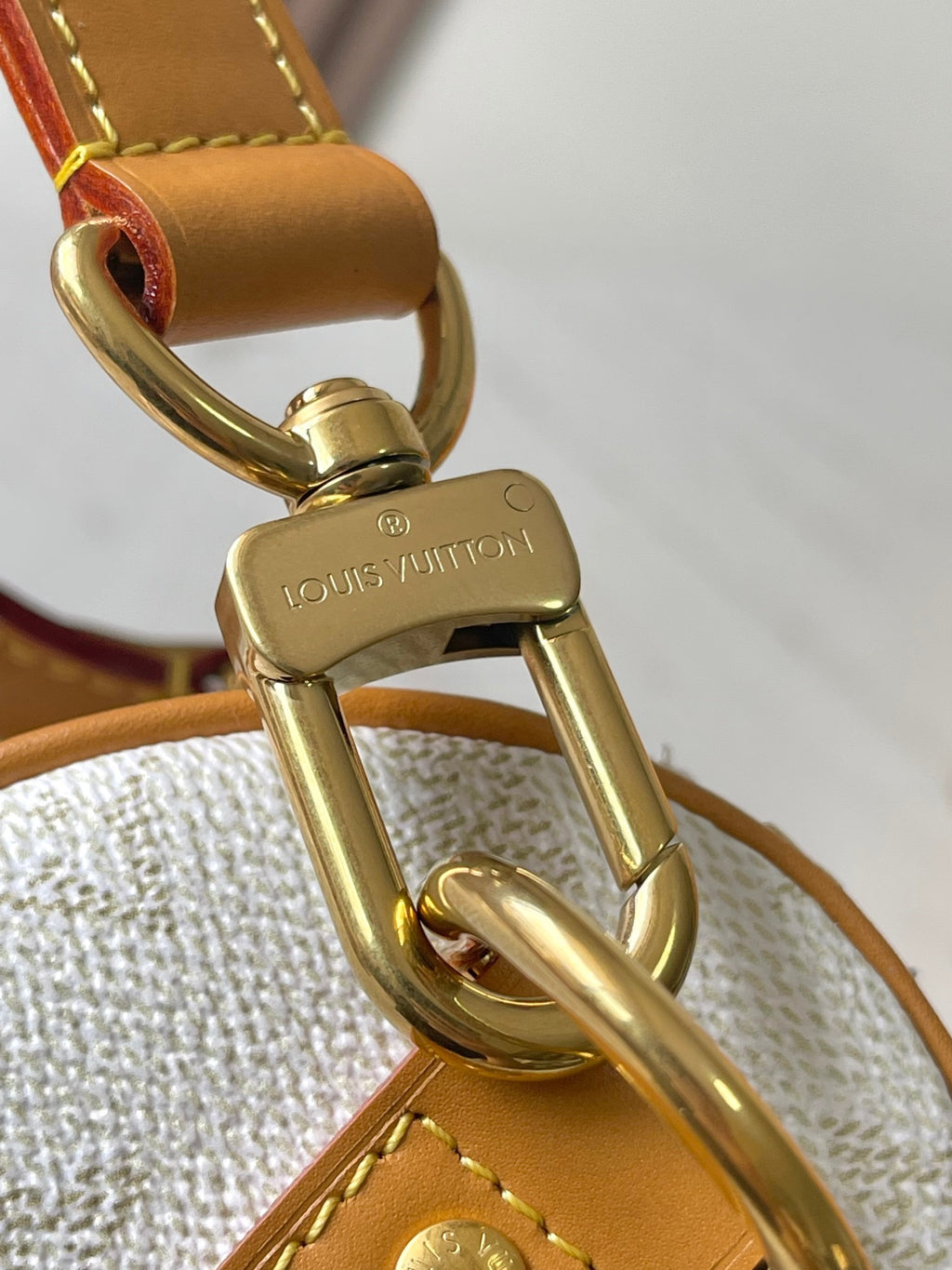 LOUIS VUITTON- LV bag