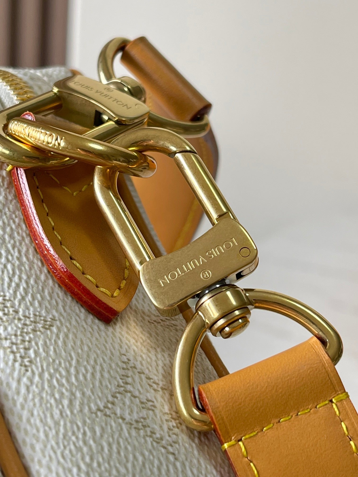 LOUIS VUITTON- LV bag