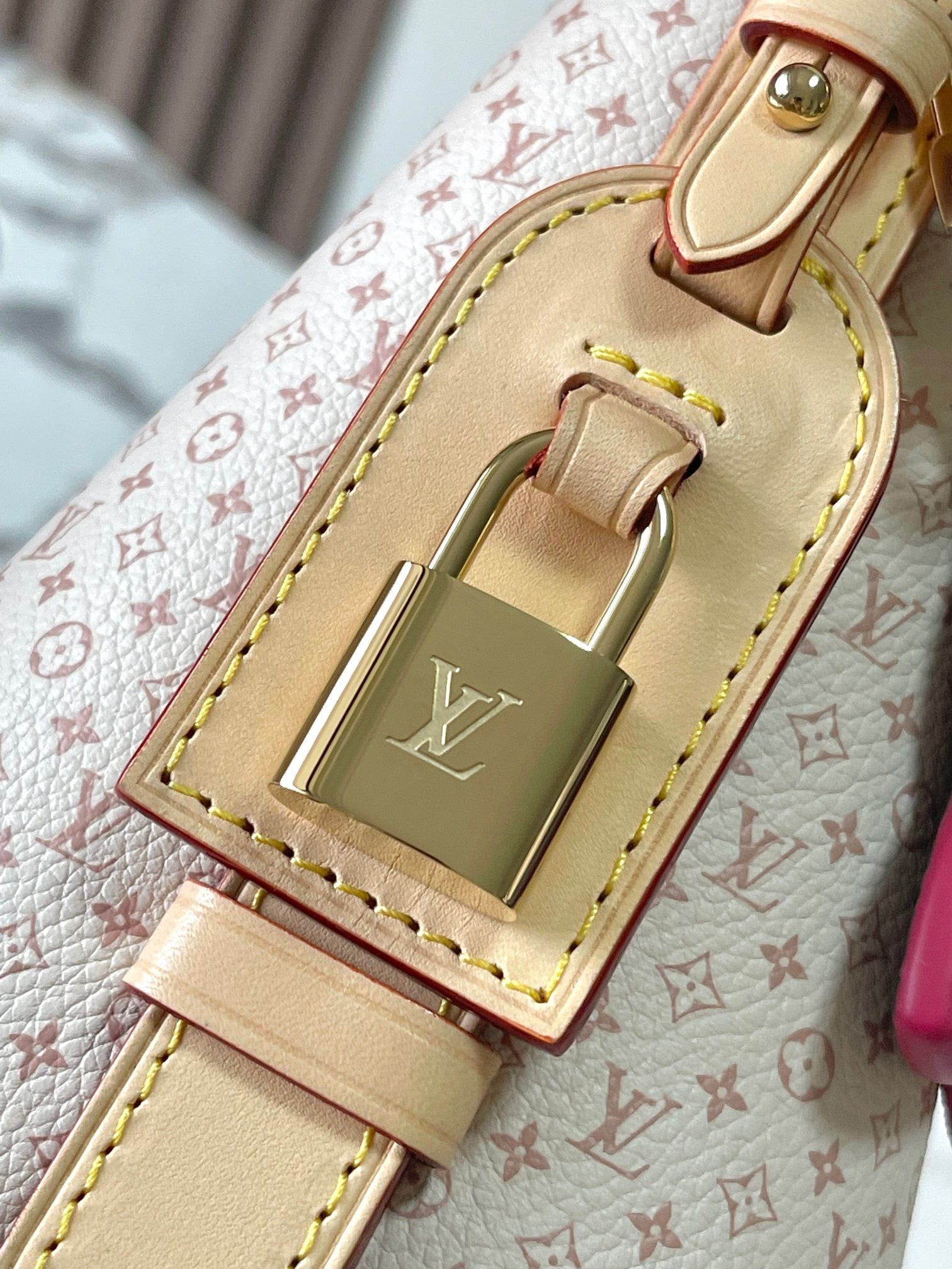 LOUIS VUITTON- LV bag
