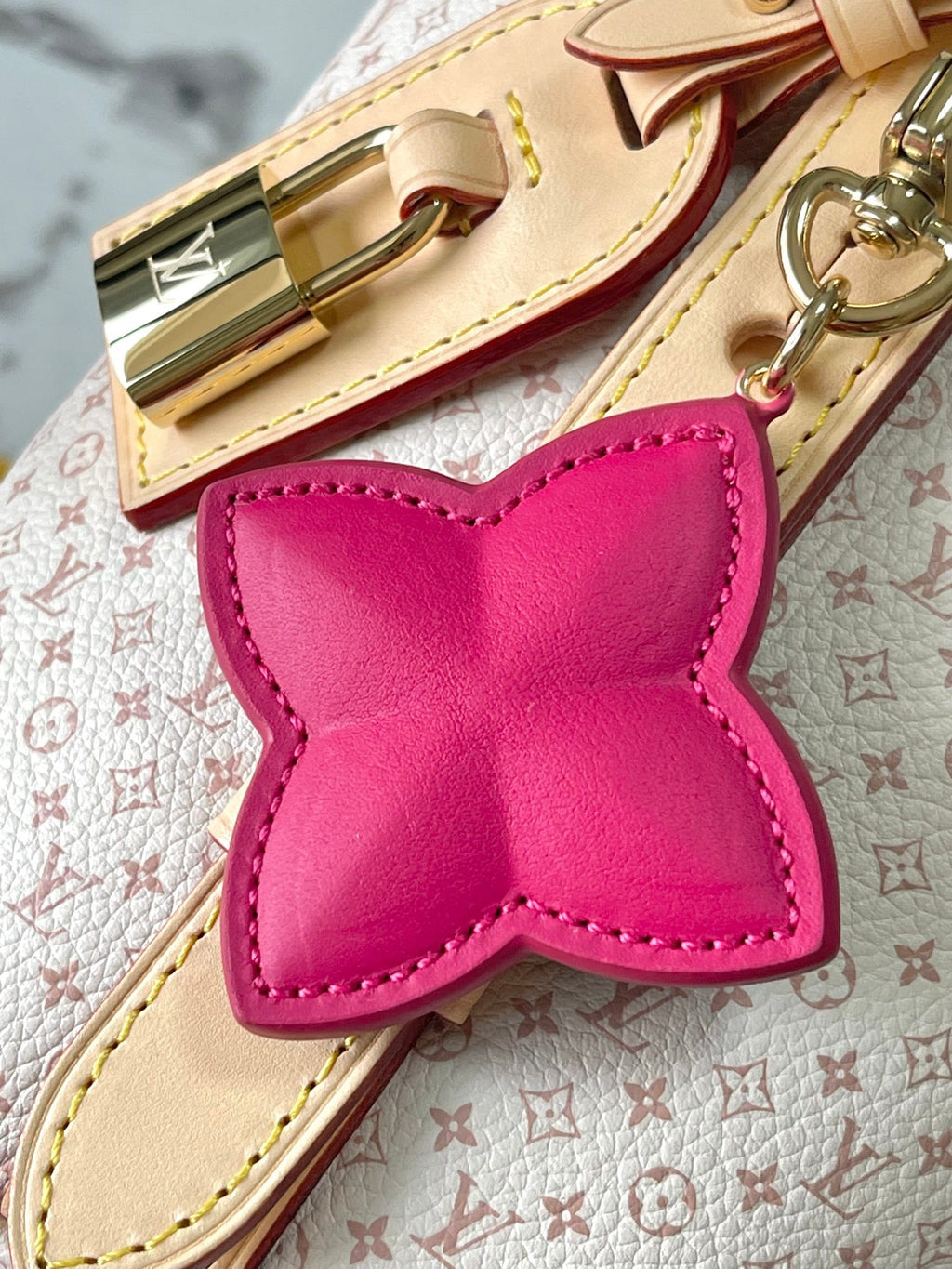 LOUIS VUITTON- LV bag