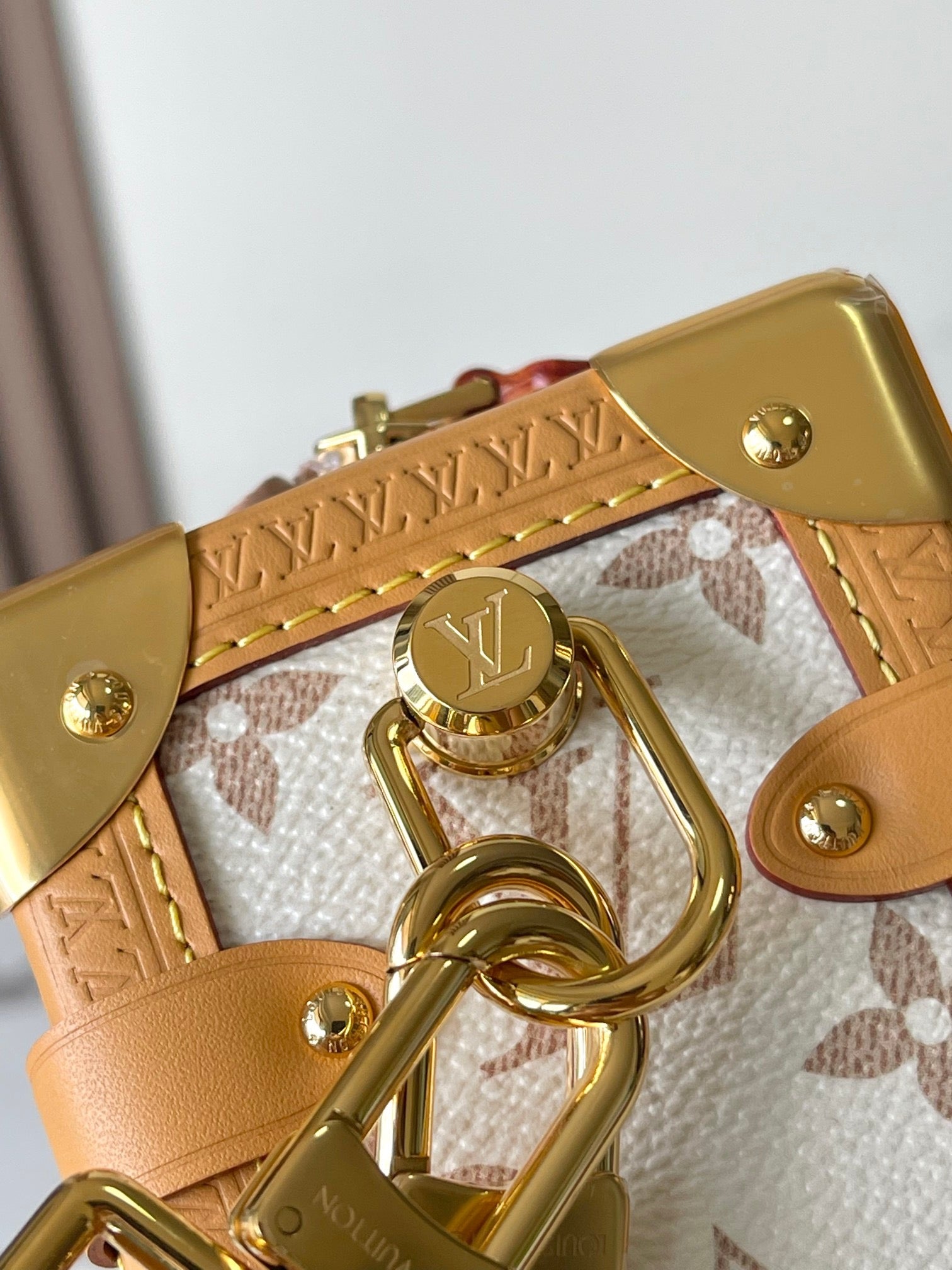 LOUIS VUITTON- LV bag