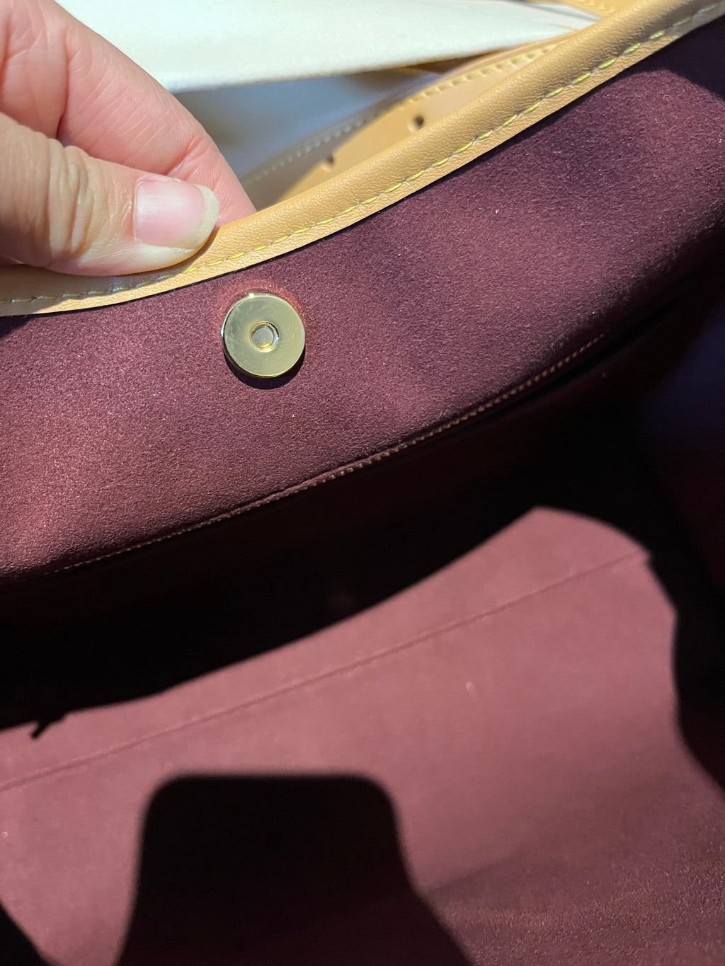 LOUIS VUITTON- LV bag