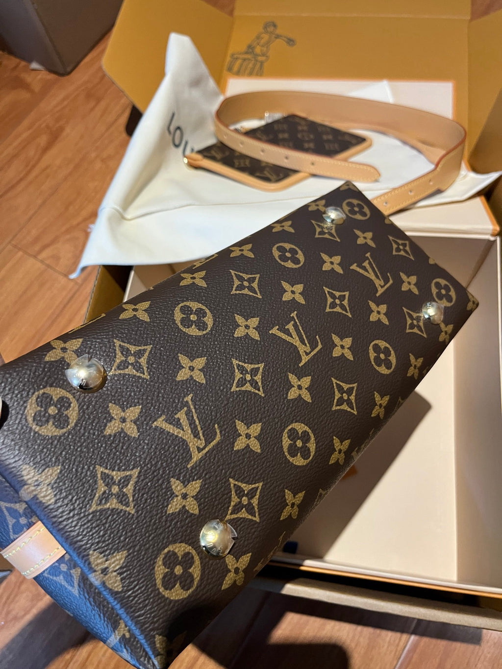LOUIS VUITTON- LV bag