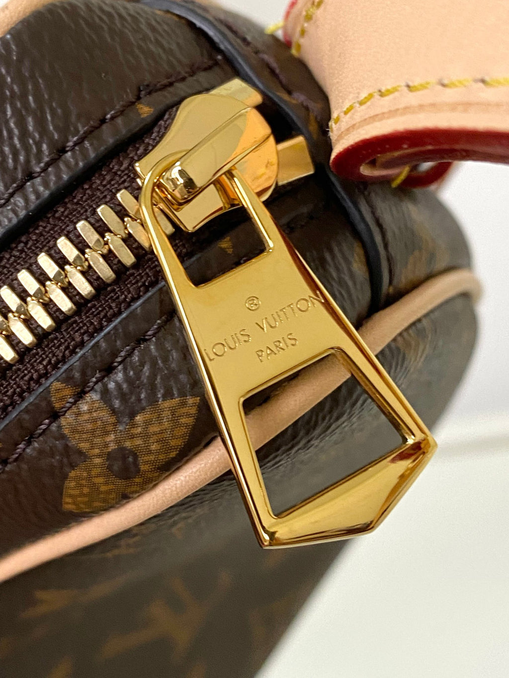 LOUIS VUITTON- LV bag