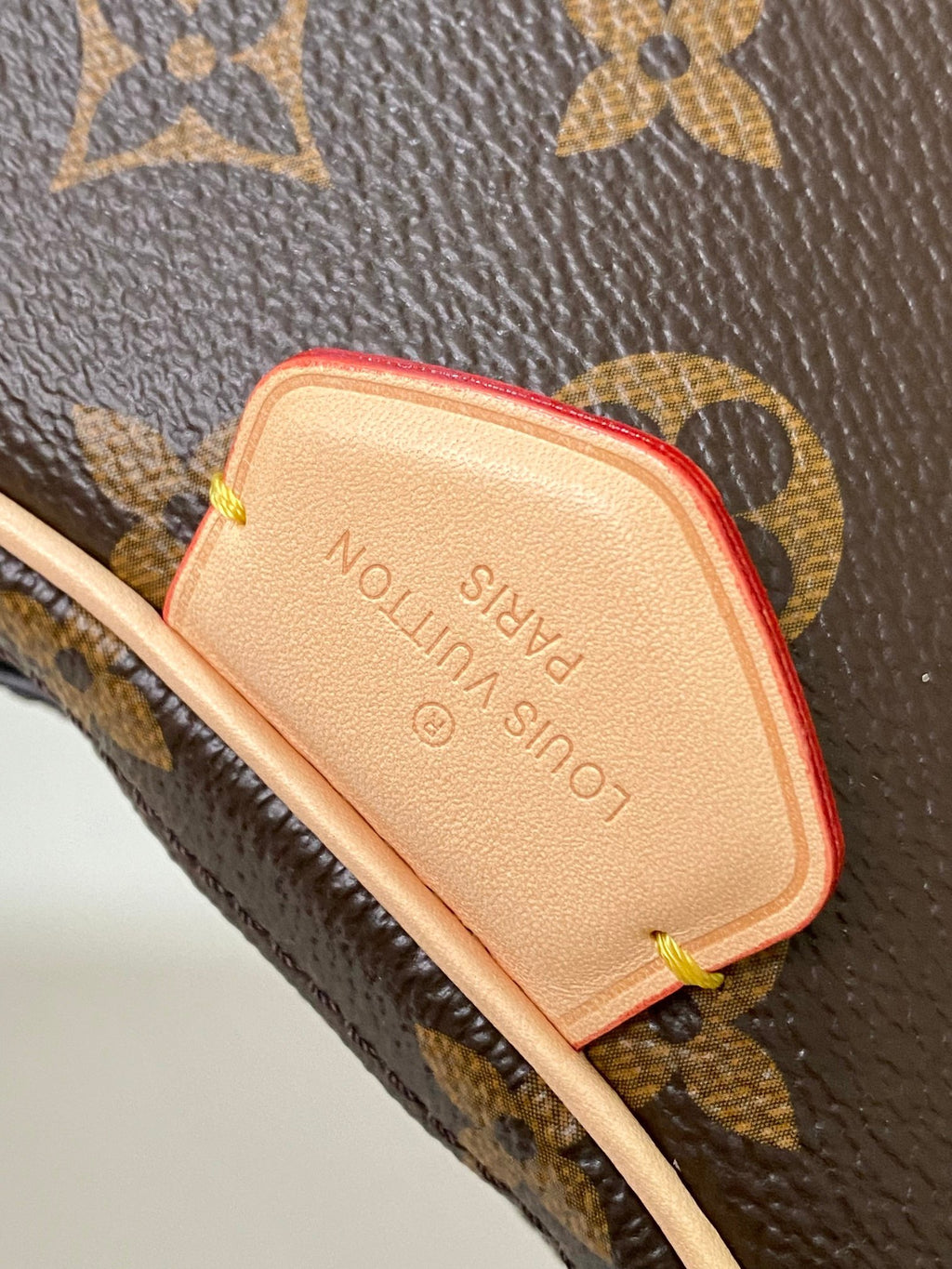 LOUIS VUITTON- LV bag