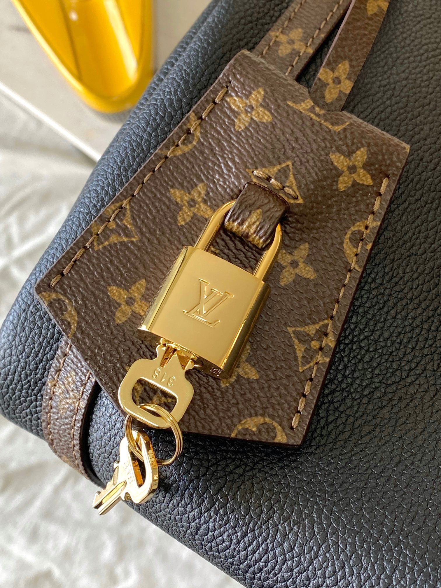 LOUIS VUITTON- LV bag