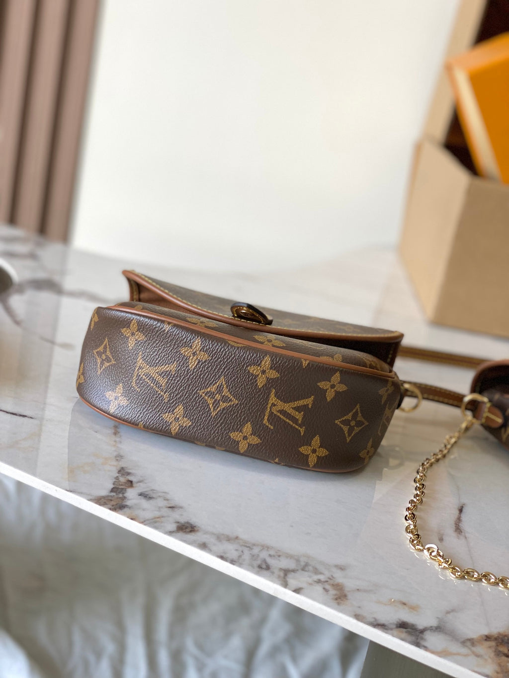 LOUIS VUITTON- LV bag