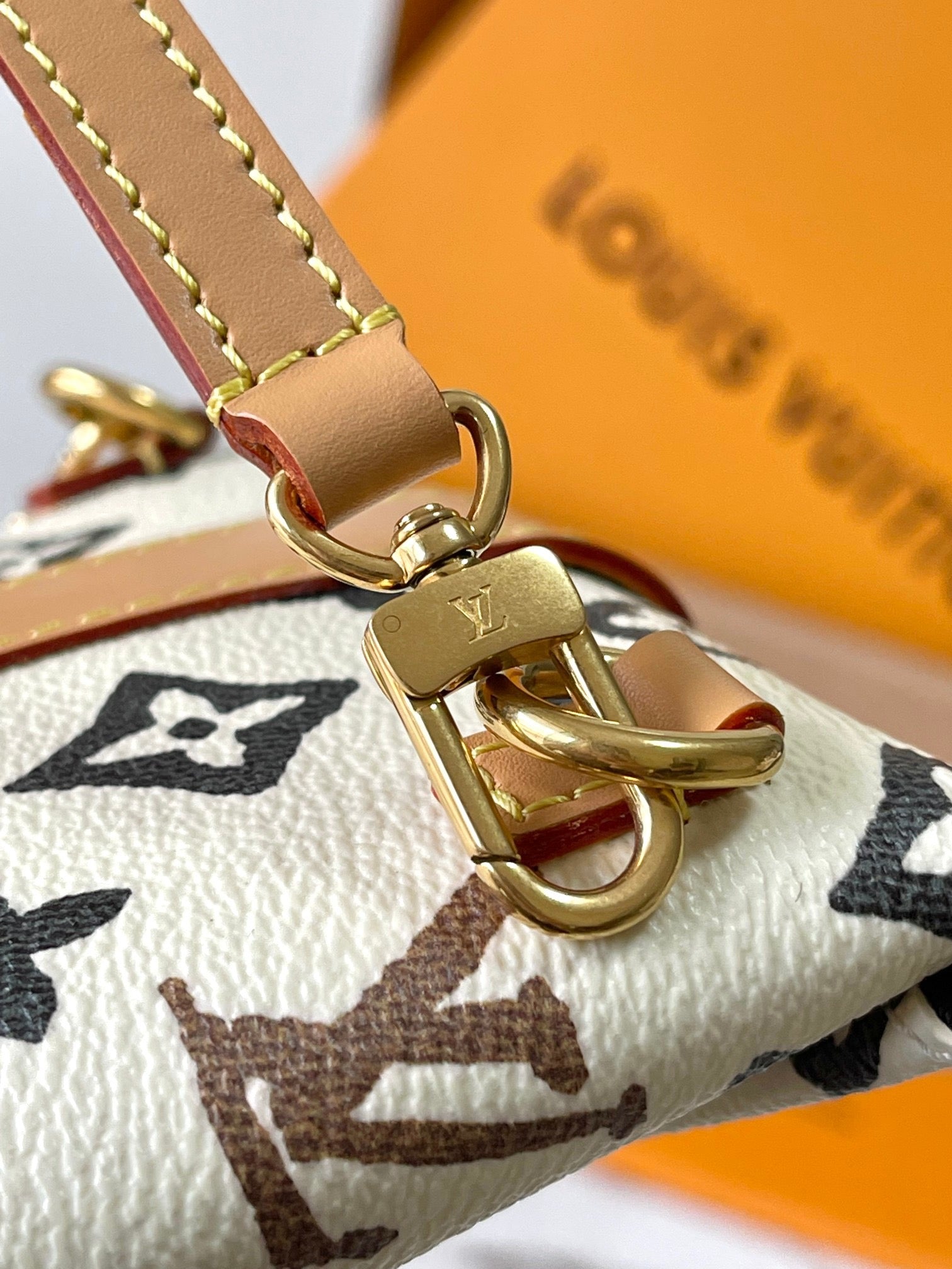 LOUIS VUITTON- LV bag