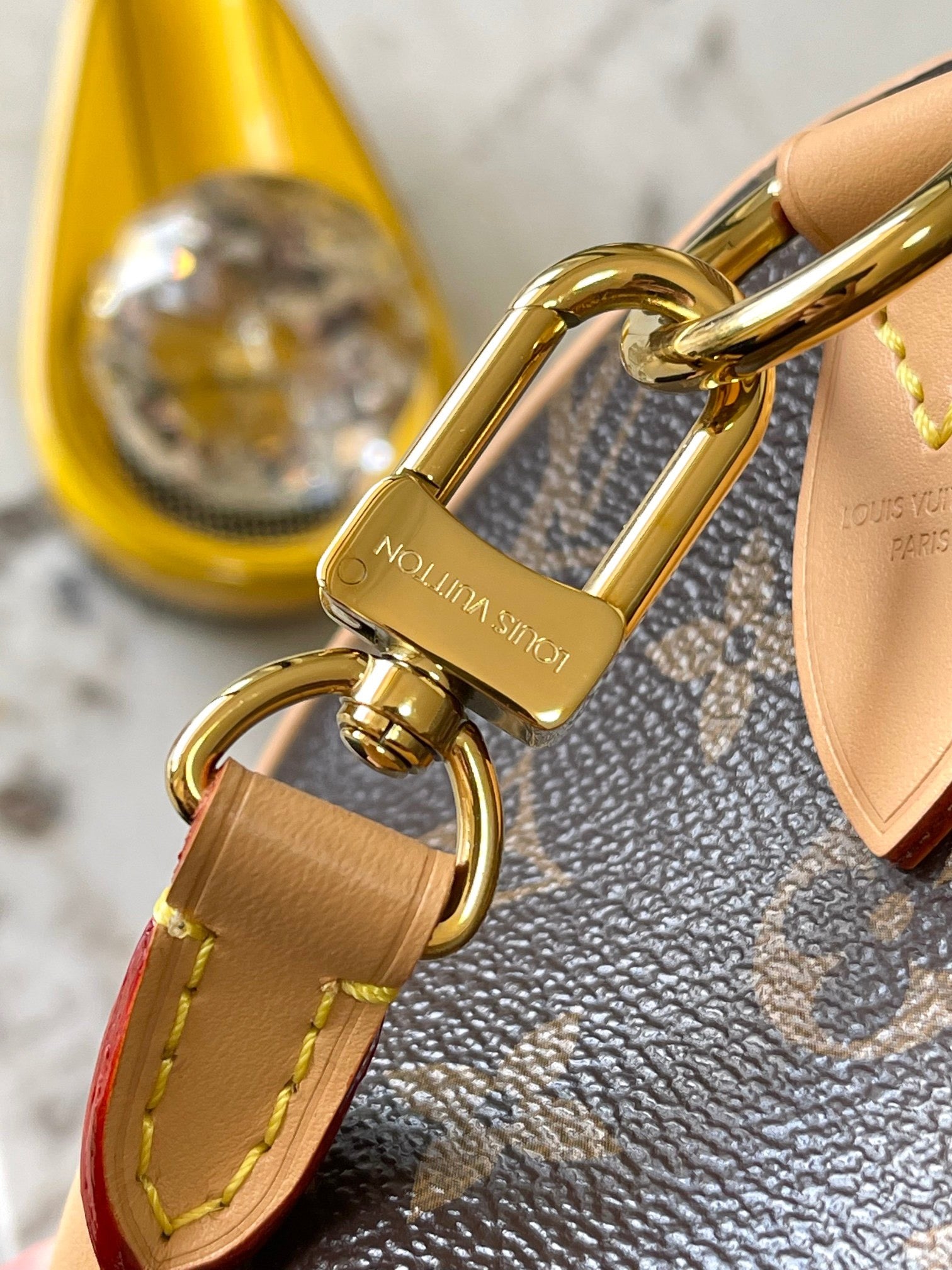 LOUIS VUITTON- LV bag