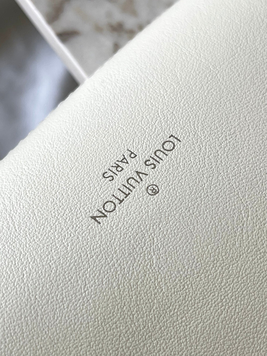 LOUIS VUITTON- LV bag