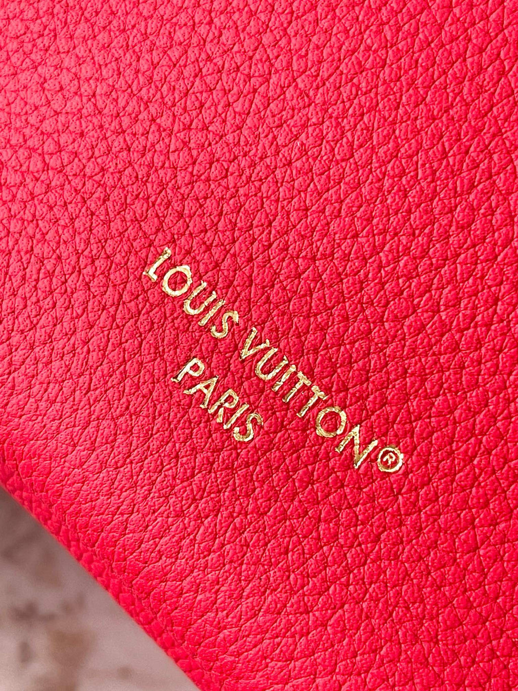 LOUIS VUITTON- LV bag