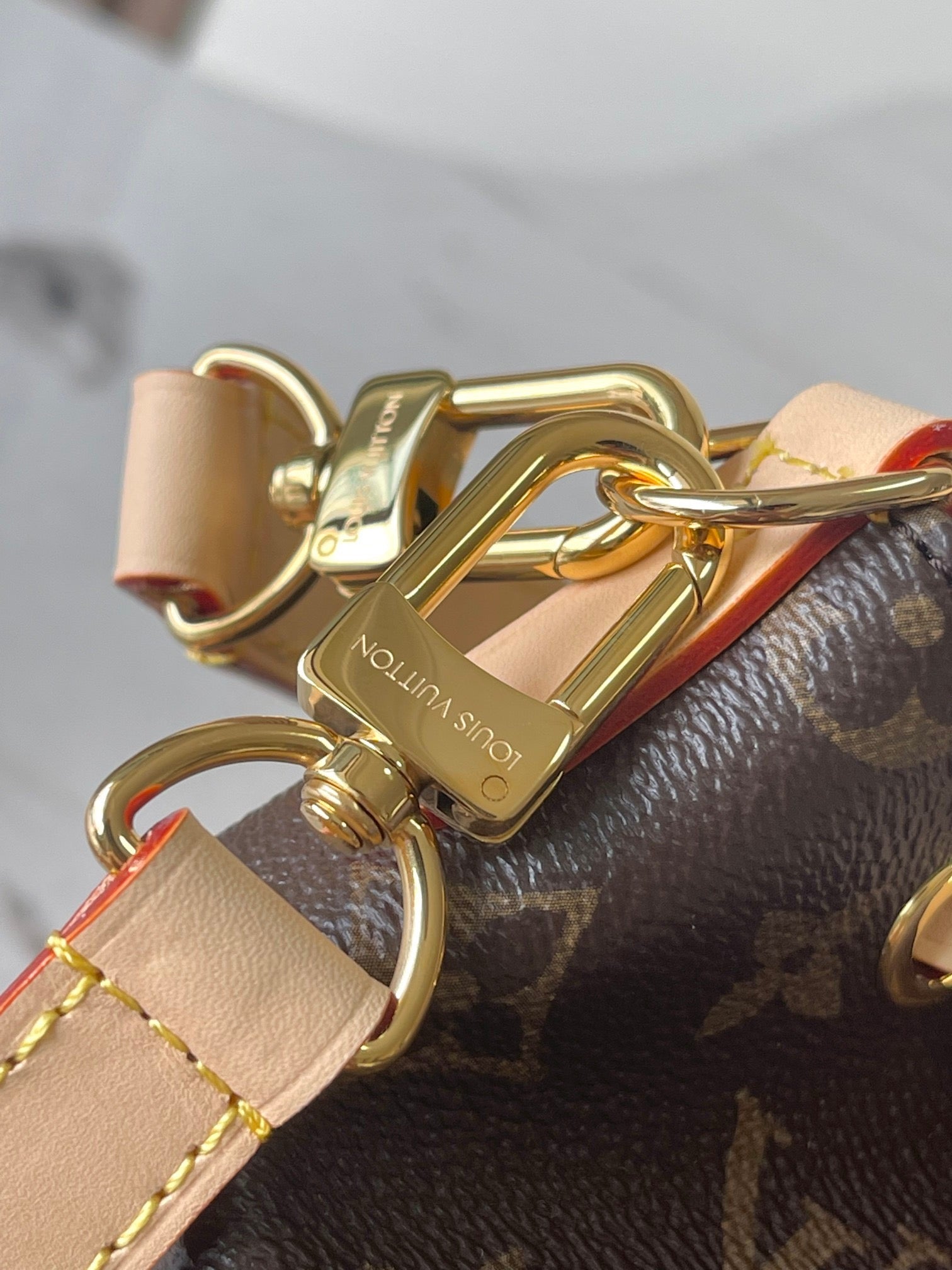 LOUIS VUITTON- LV bag