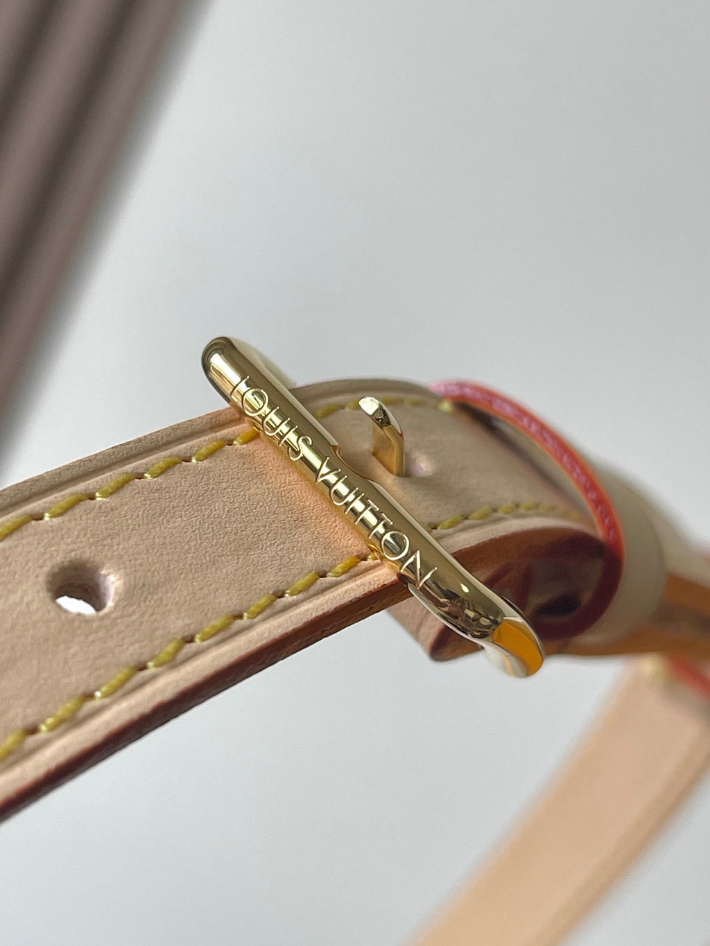 LOUIS VUITTON- LV bag