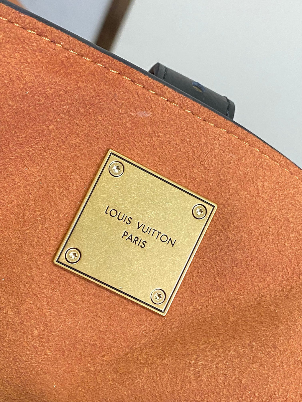 LOUIS VUITTON- LV bag