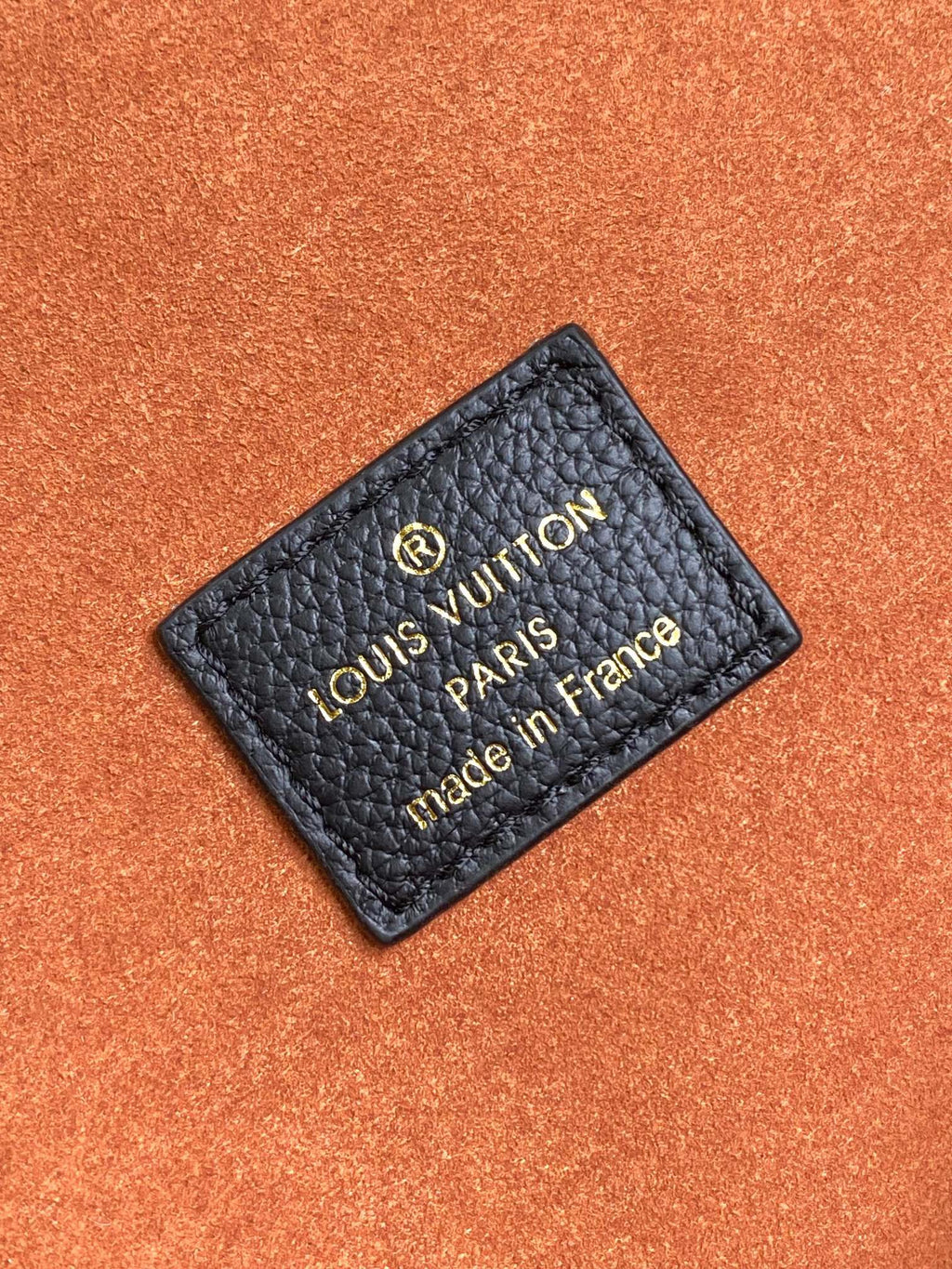 LOUIS VUITTON- LV bag