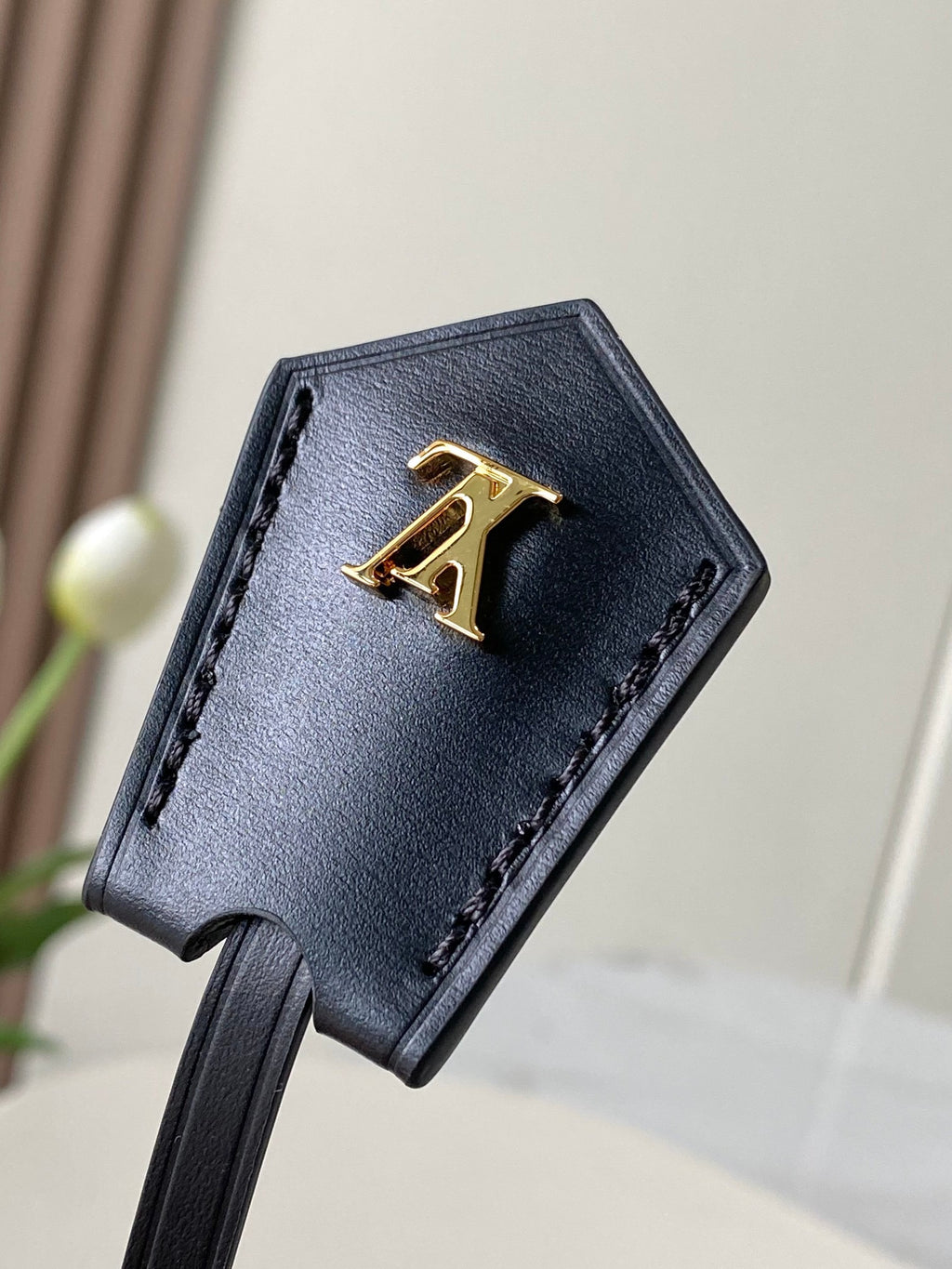 LOUIS VUITTON- LV bag