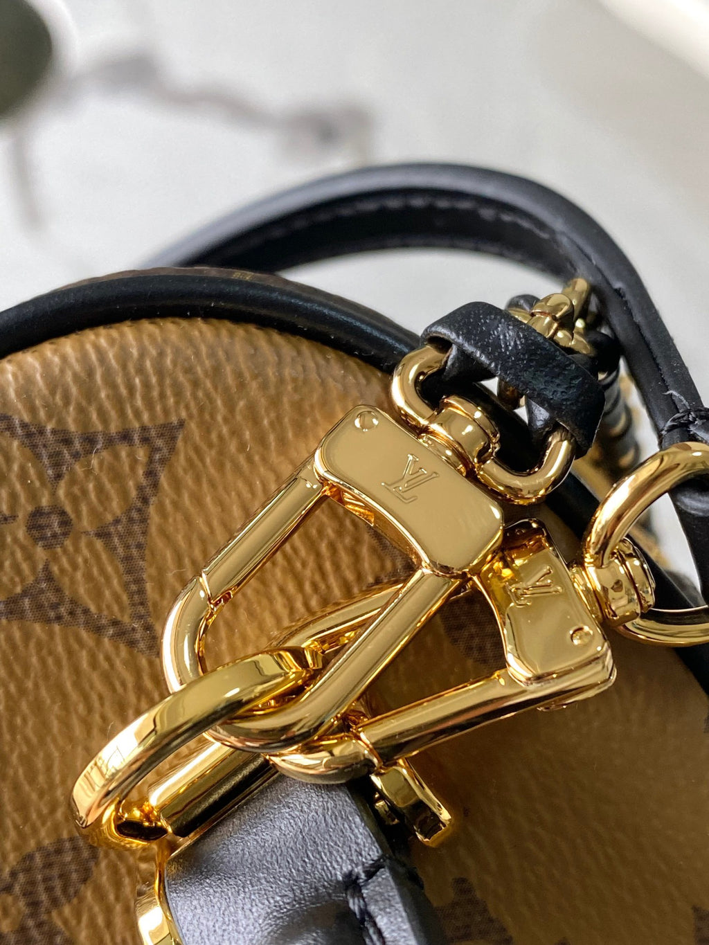 LOUIS VUITTON- LV bag