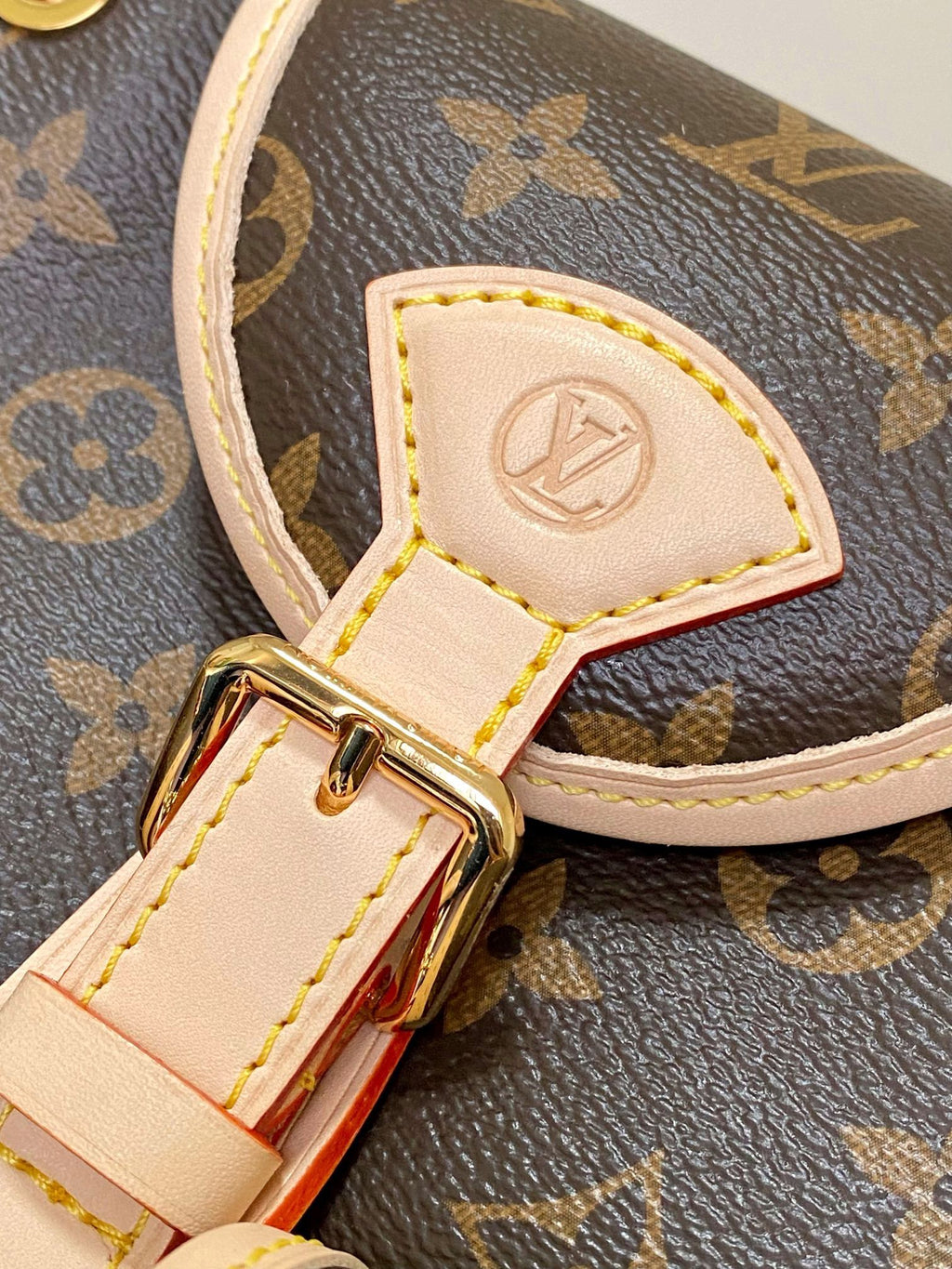 LOUIS VUITTON- LV bag