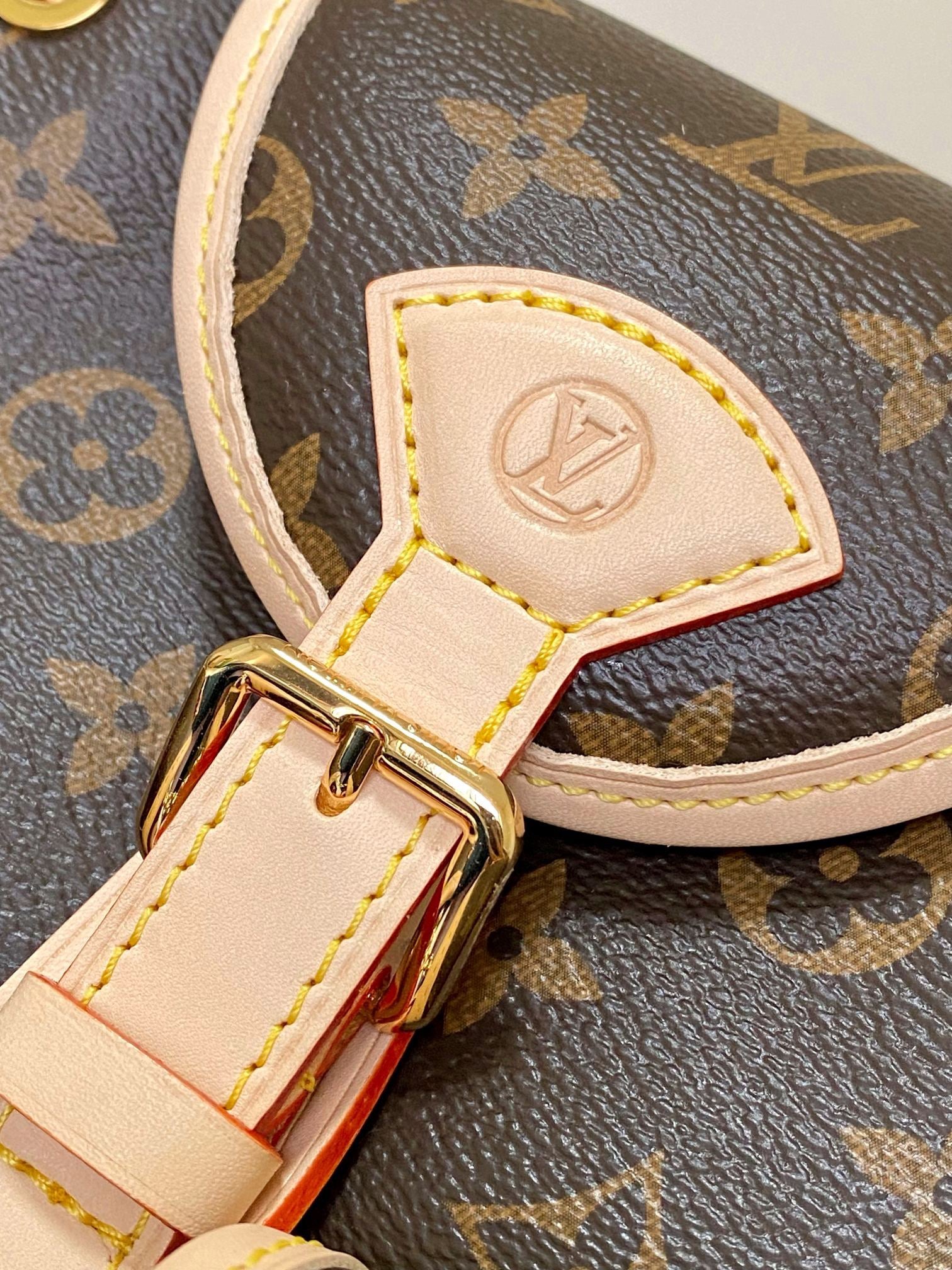 LOUIS VUITTON- LV bag