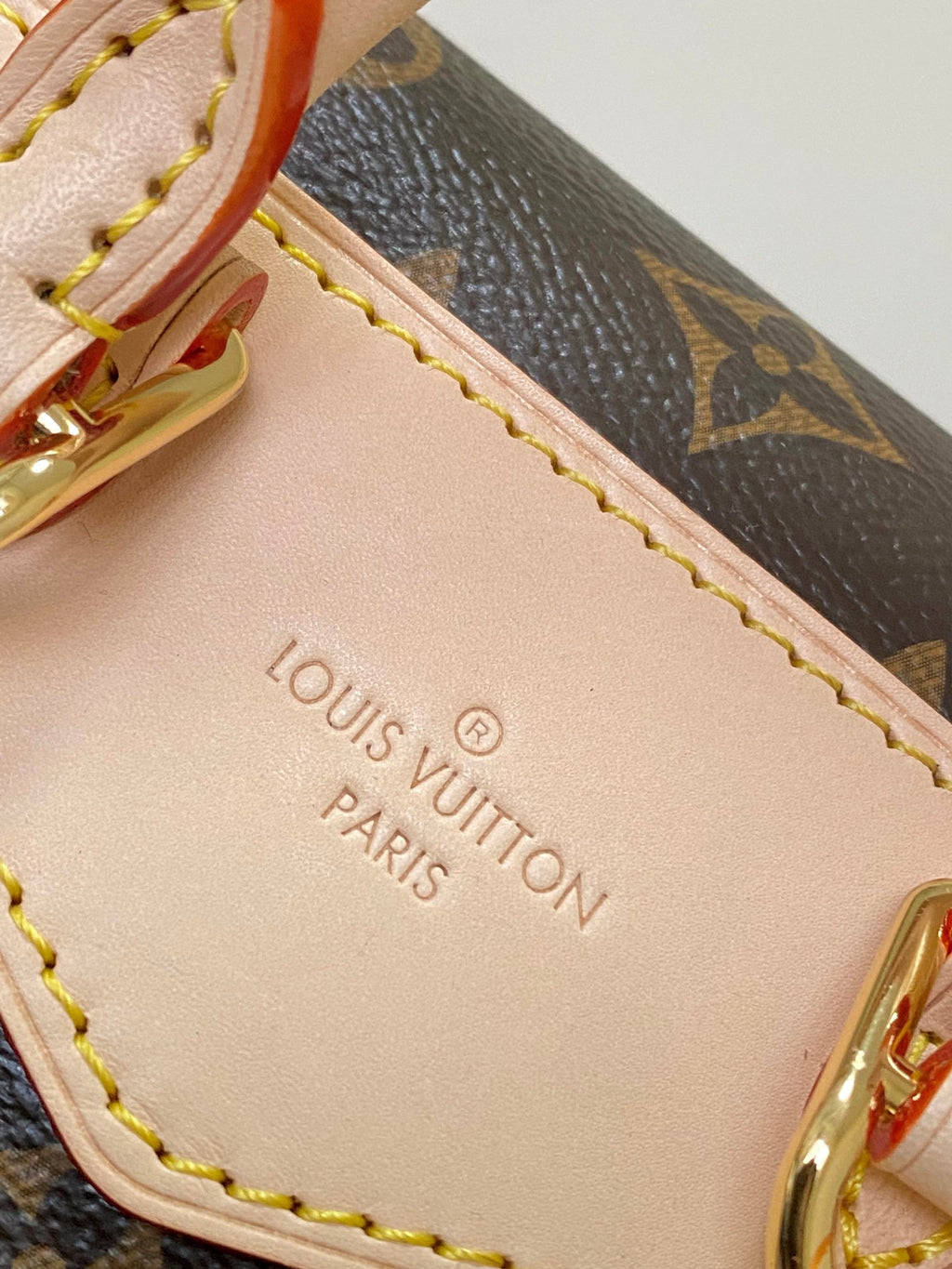 LOUIS VUITTON- LV bag