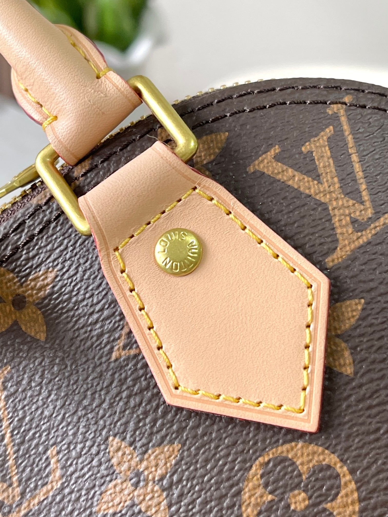 LOUIS VUITTON- LV bag