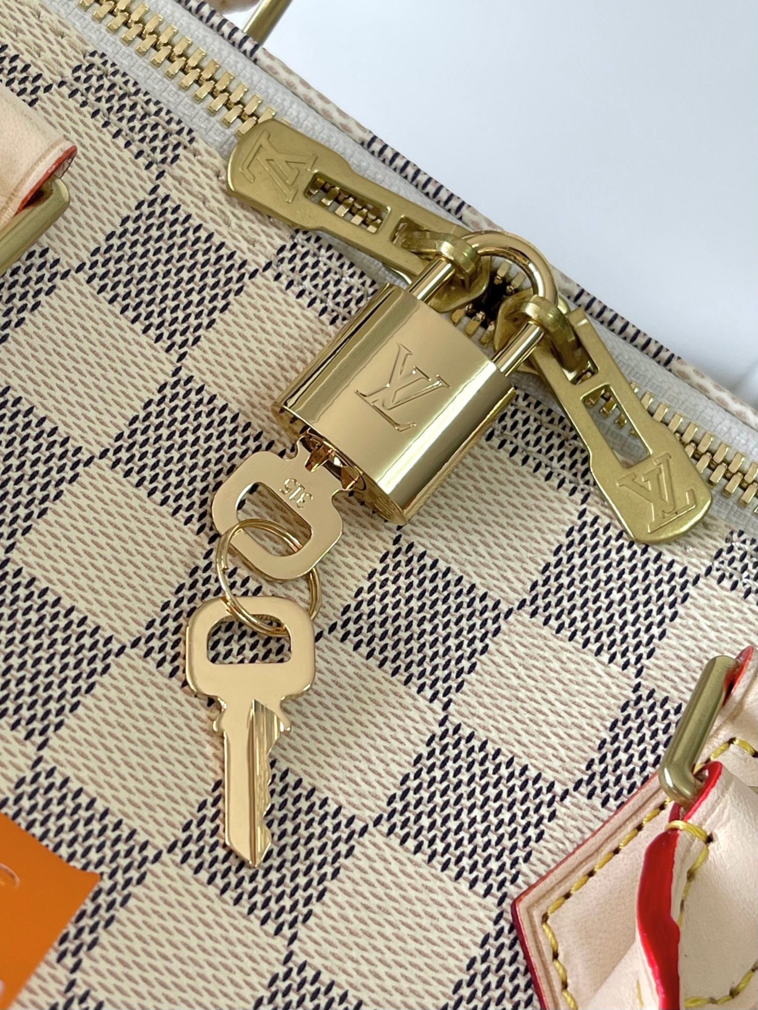 LOUIS VUITTON- LV bag