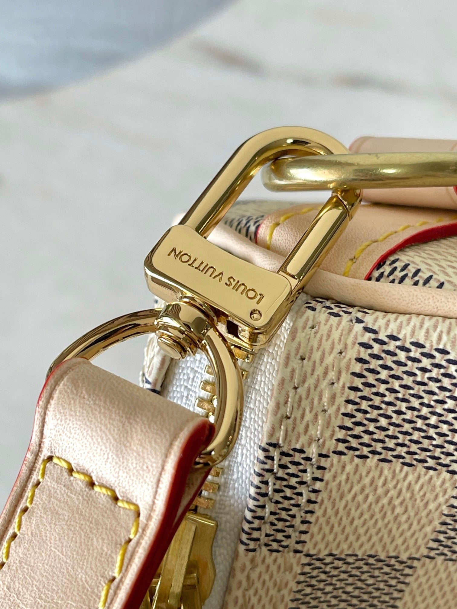 LOUIS VUITTON- LV bag