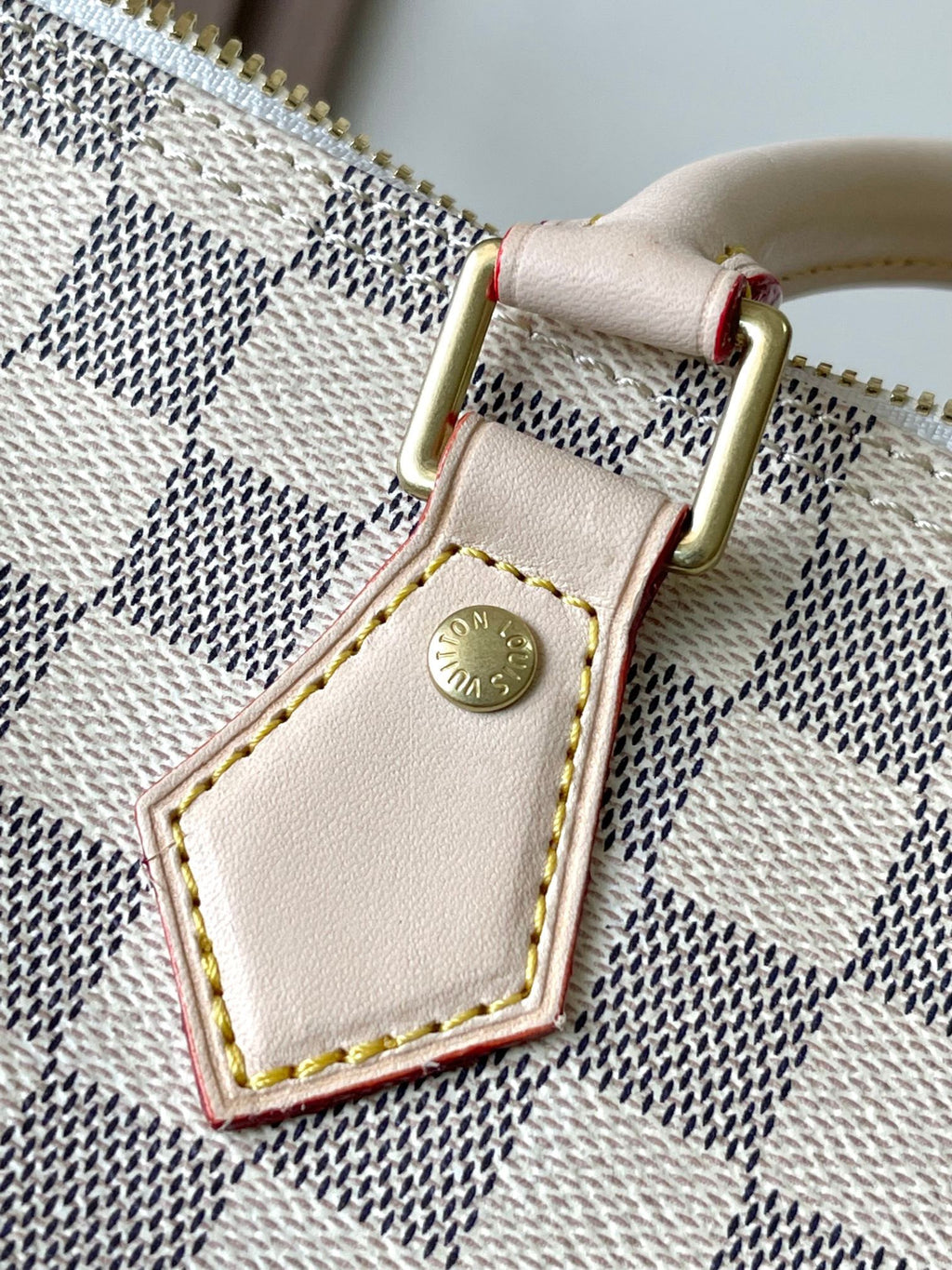 LOUIS VUITTON- LV bag