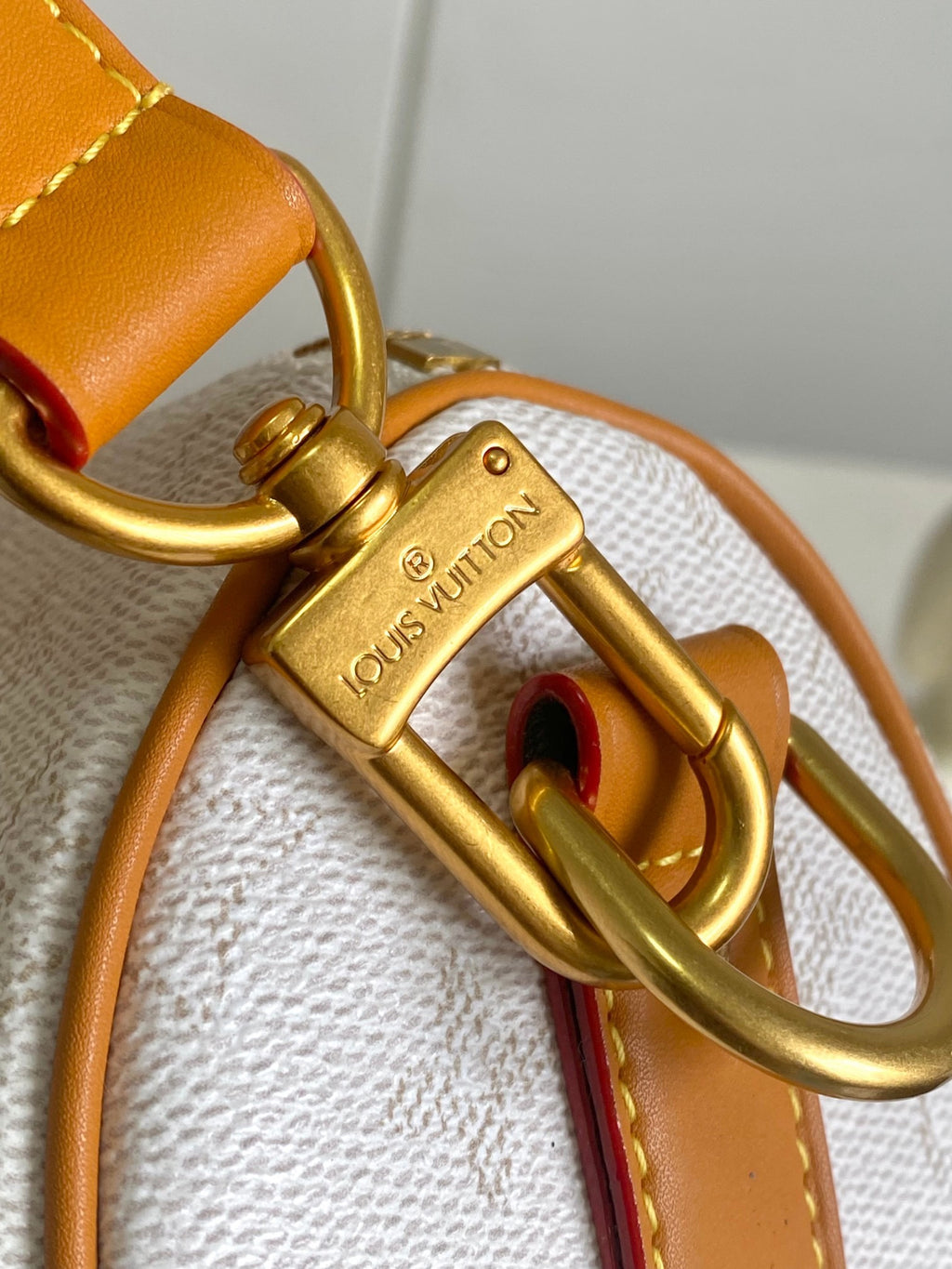 LOUIS VUITTON- LV bag