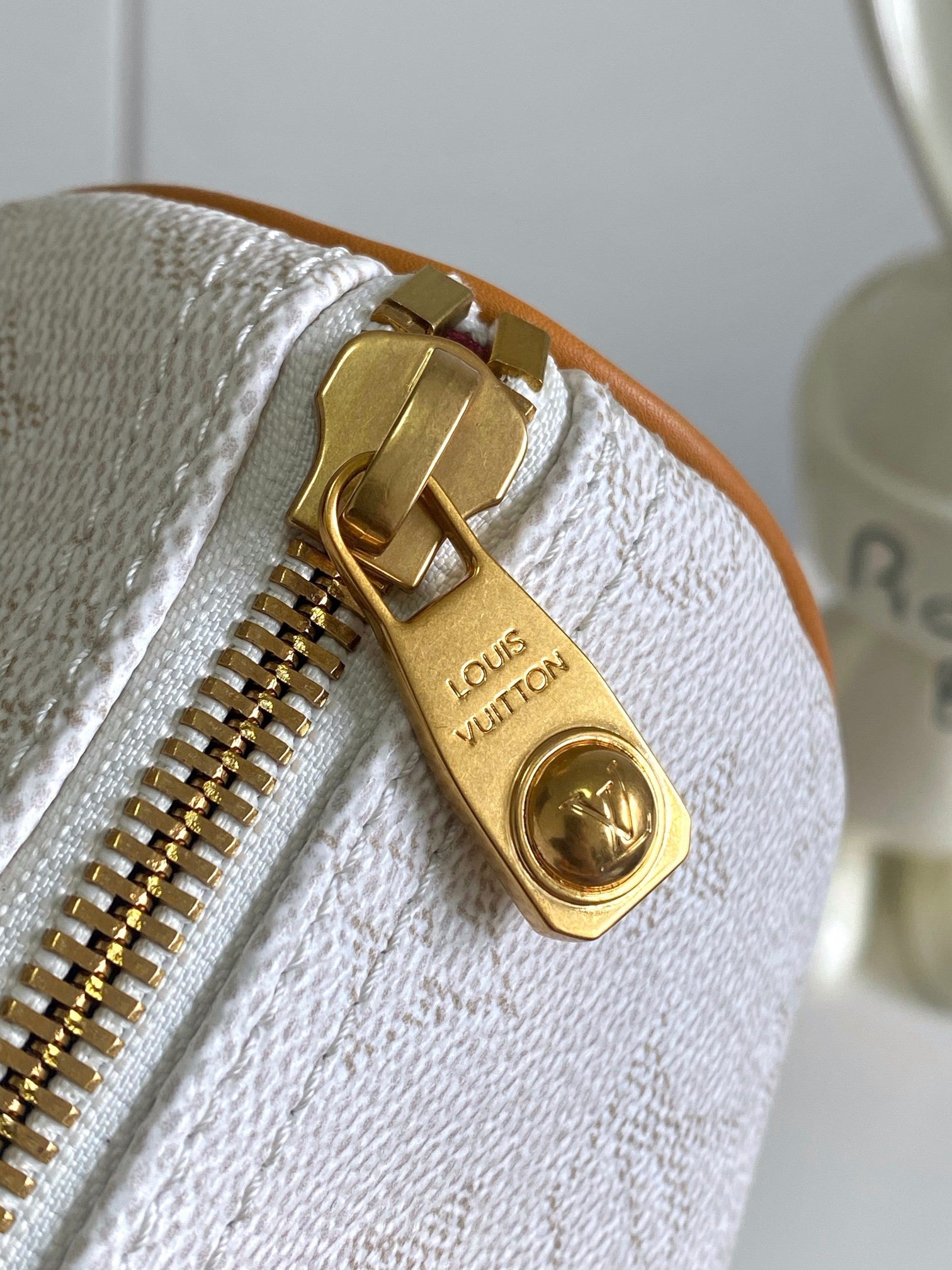 LOUIS VUITTON- LV bag