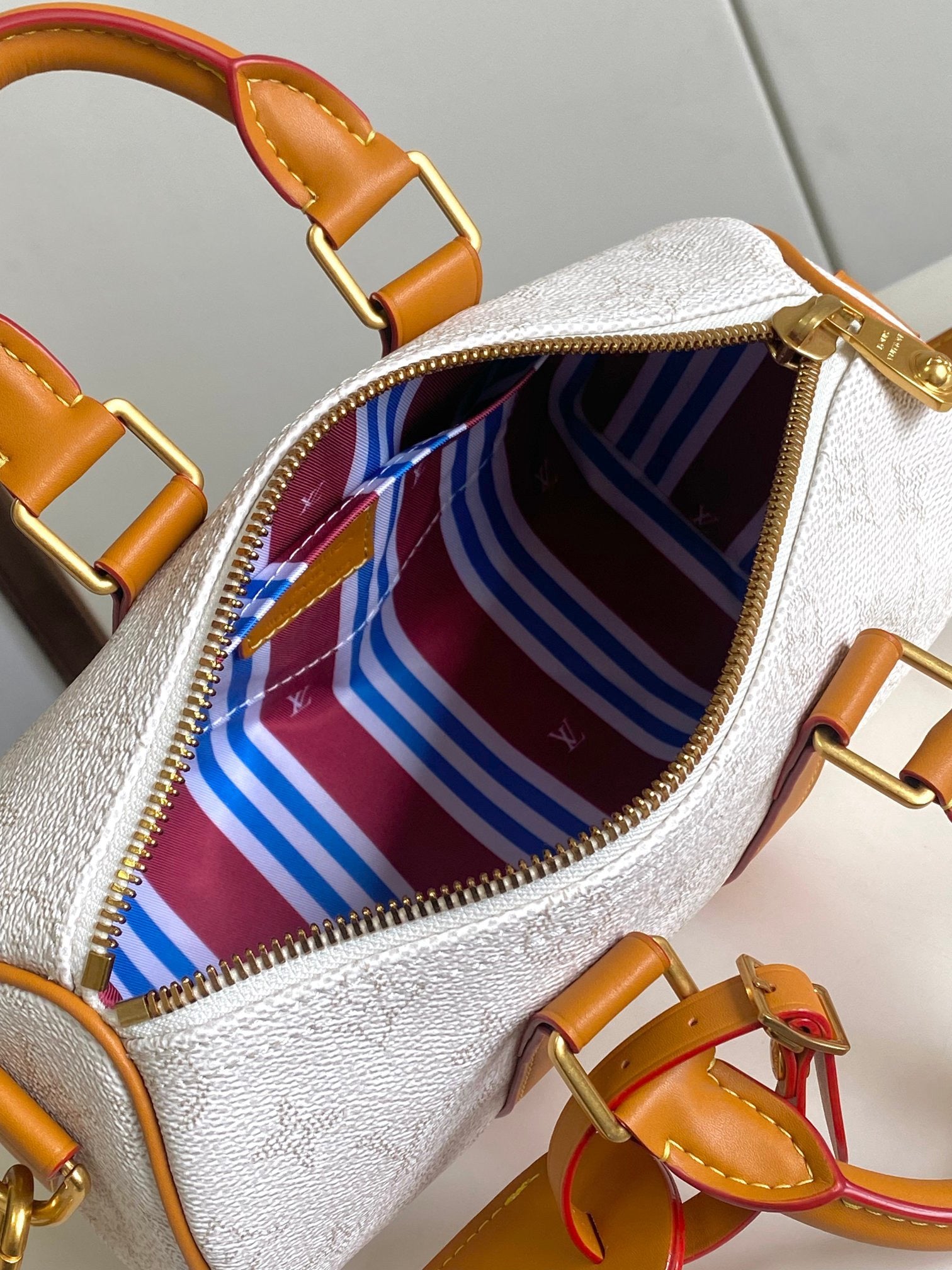 LOUIS VUITTON- LV bag