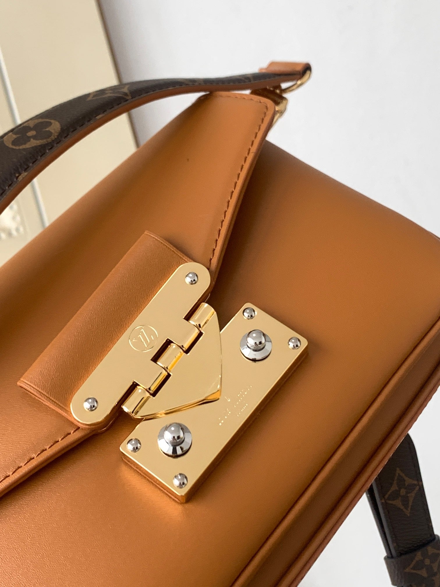 LOUIS VUITTON- LV bag