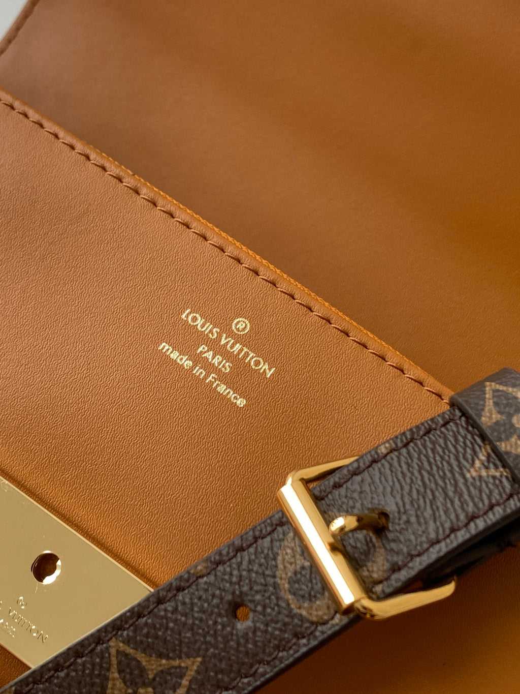 LOUIS VUITTON- LV bag