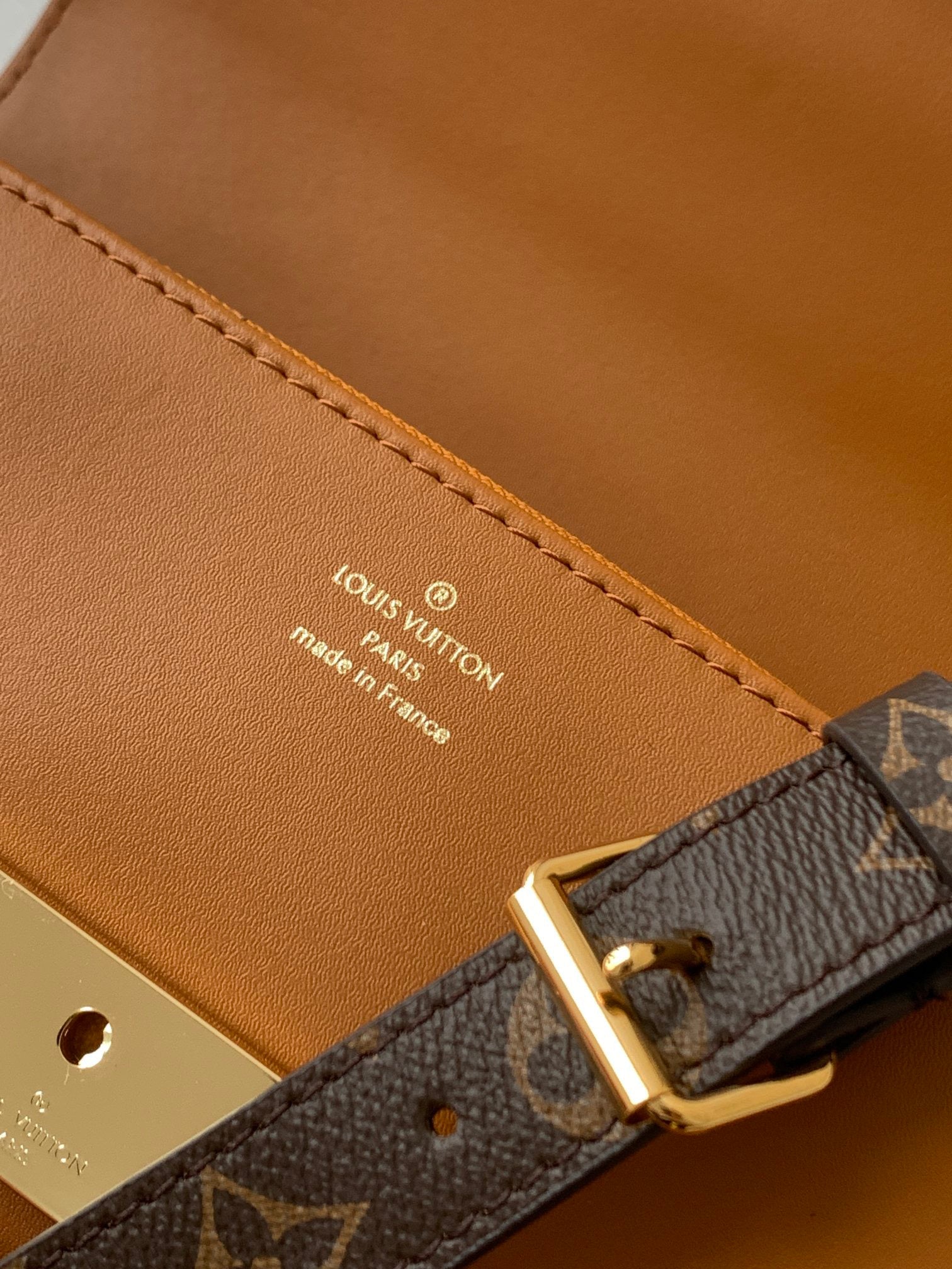 LOUIS VUITTON- LV bag