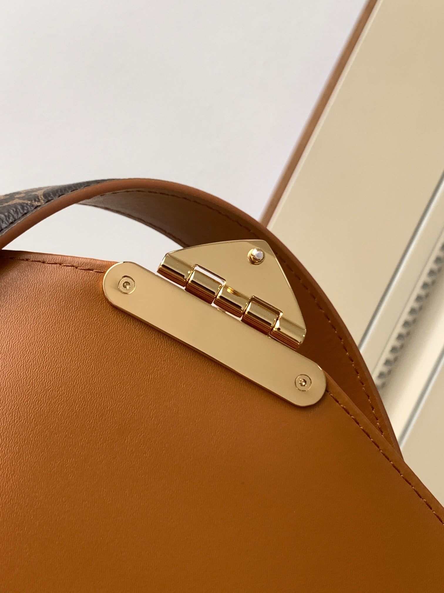 LOUIS VUITTON- LV bag