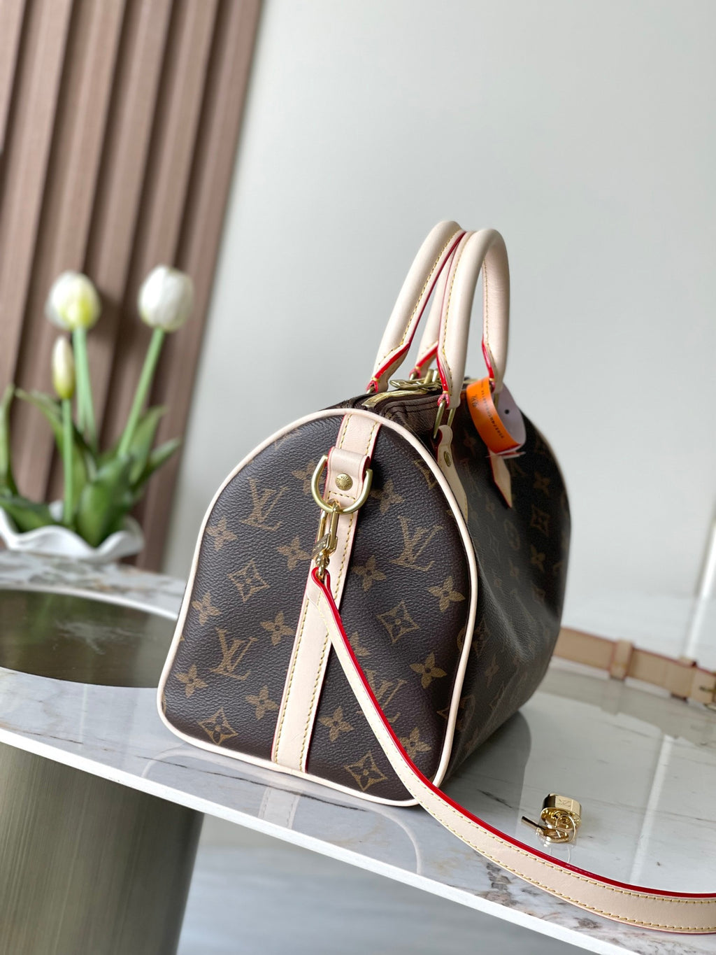 LOUIS VUITTON- LV bag