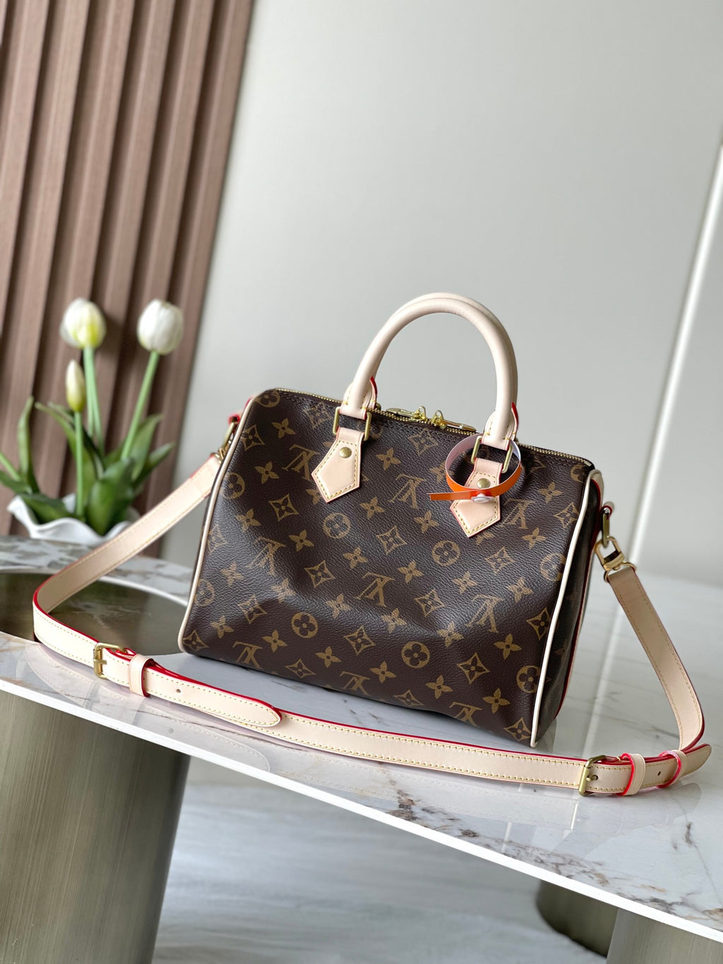 LOUIS VUITTON- LV bag